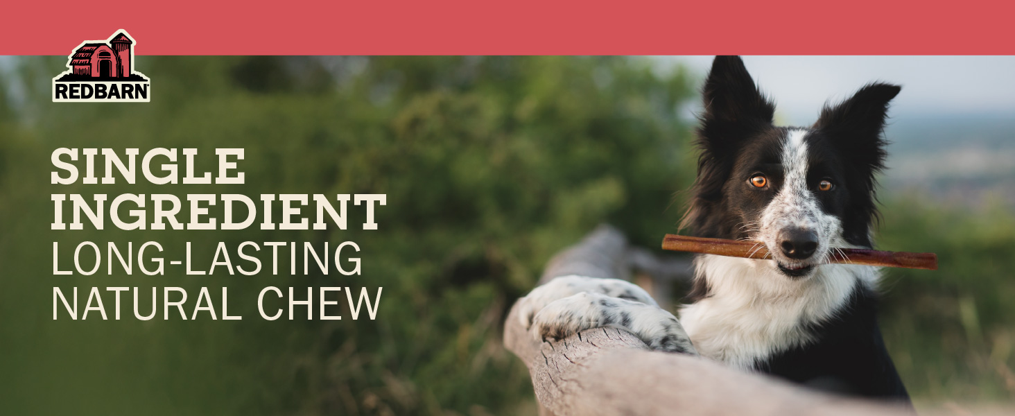 thumbnail video image 2 of Redbarn Naturals 7" Bully Stick Dog Treat, 3 Ct, 2 of 15