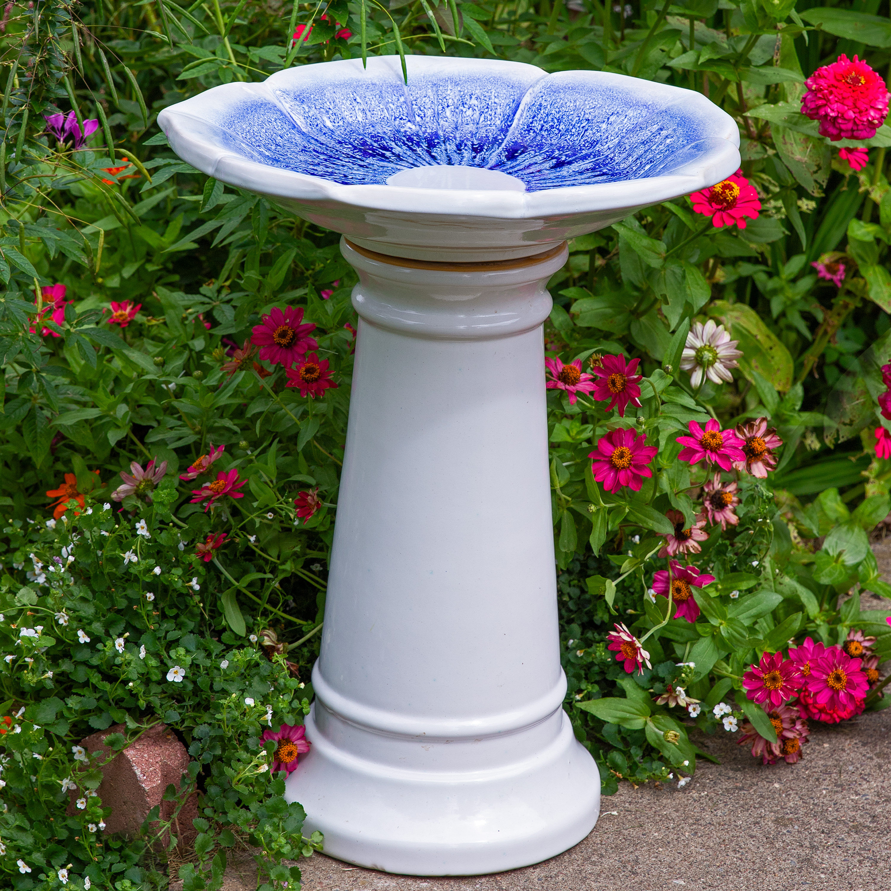 thumbnail video image 2 of Sunnydaze Misty Blossom Freestanding Ceramic Outdoor Bird Bath, UV-Resistant White and Blue Finish, 2 of 12