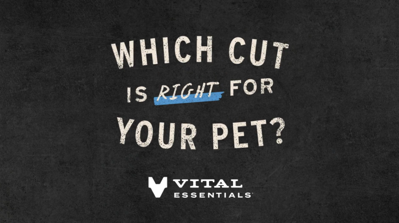 thumbnail video image 2 of Vital Essentials Freeze-Dried Raw Rabbit Meal or Mixer Dog Food Crunchy Mini Nibs, 25 oz, 2 of 6