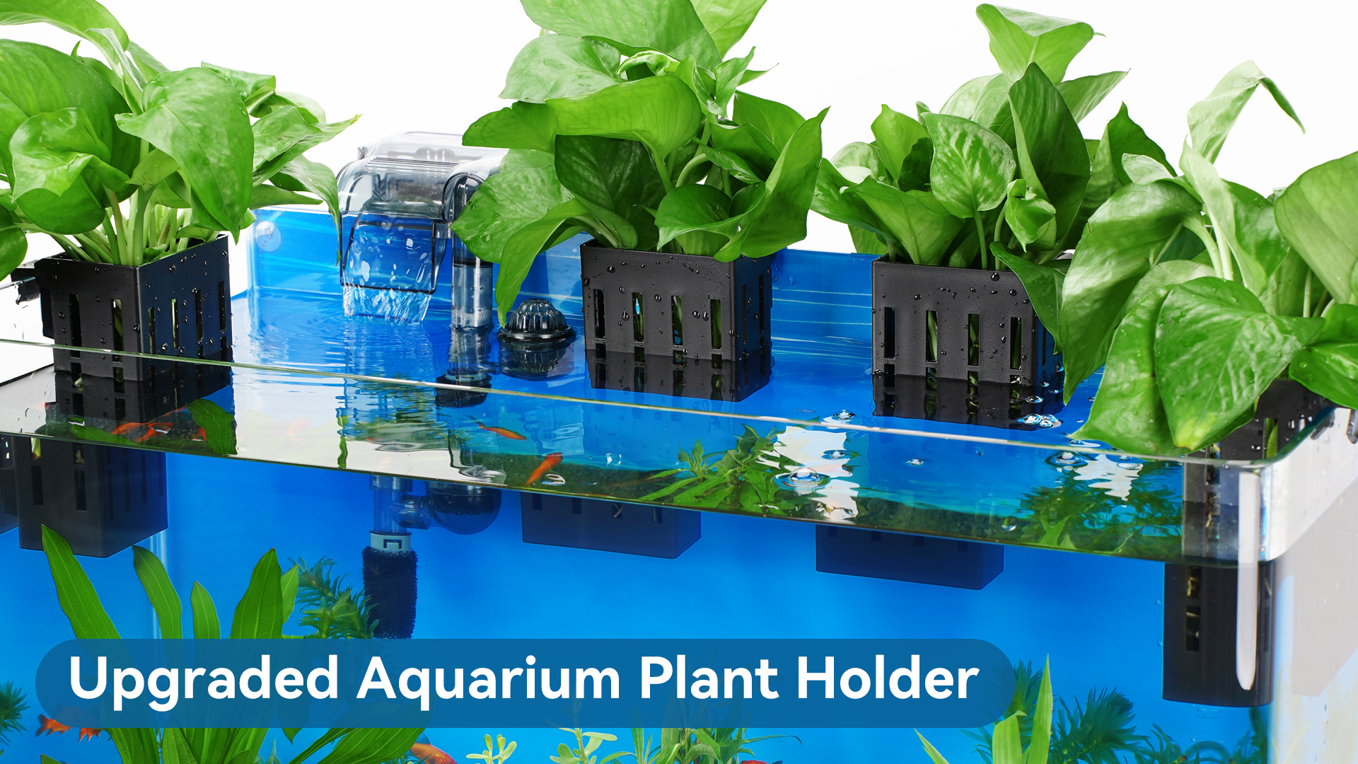 thumbnail video image 2 of Upgraded Aquarium Plant Holder with Hooks and Suction Cups for Fish Tank Aquaponic Plant Cultivation and Aquascape Decorations (Black), 2 of 10