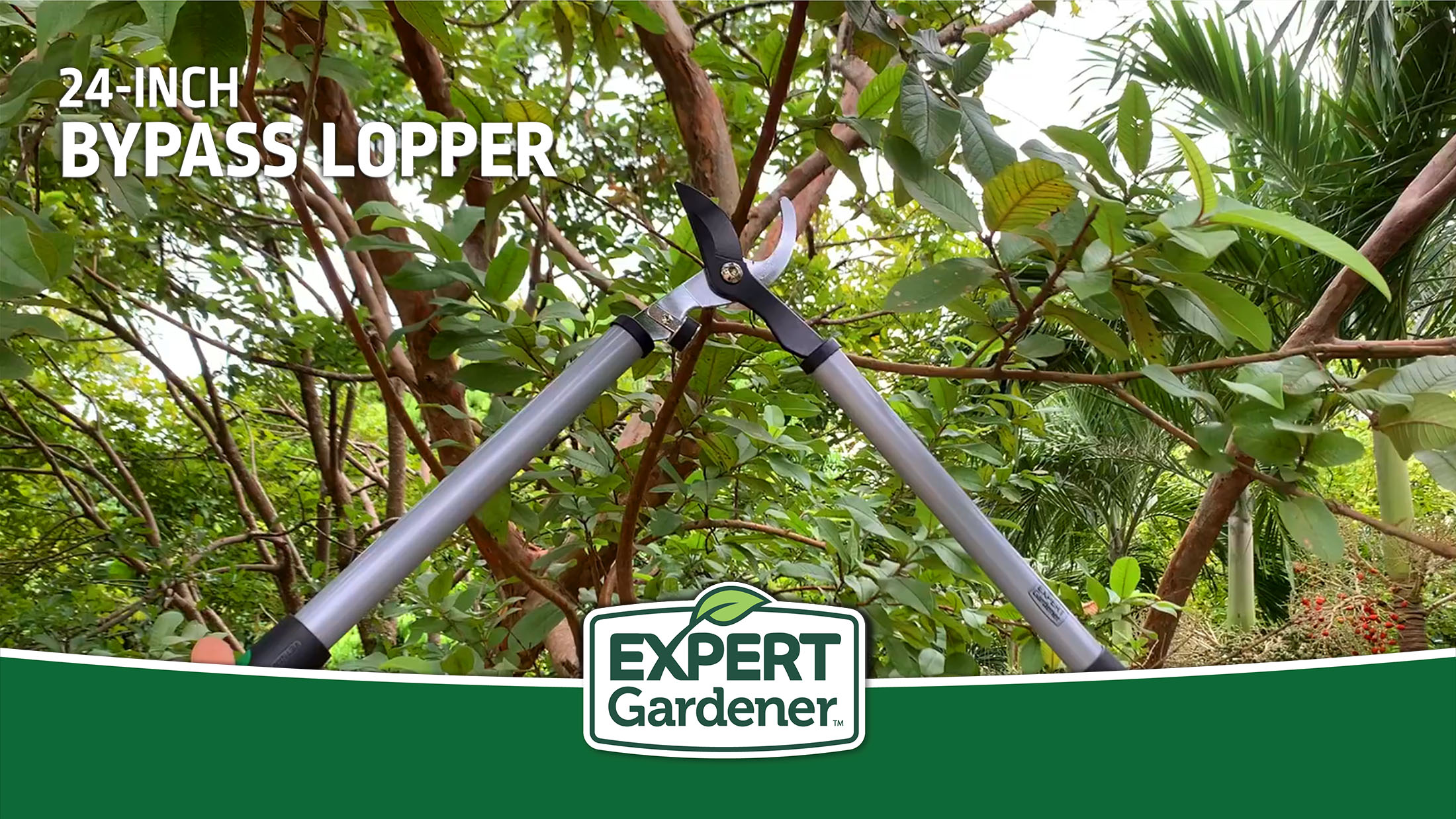 thumbnail video image 3 of Expert Gardener 24 in Steel Bypass Lopper, 1 in Cutting Capacity, Green and Black, 3 of 9