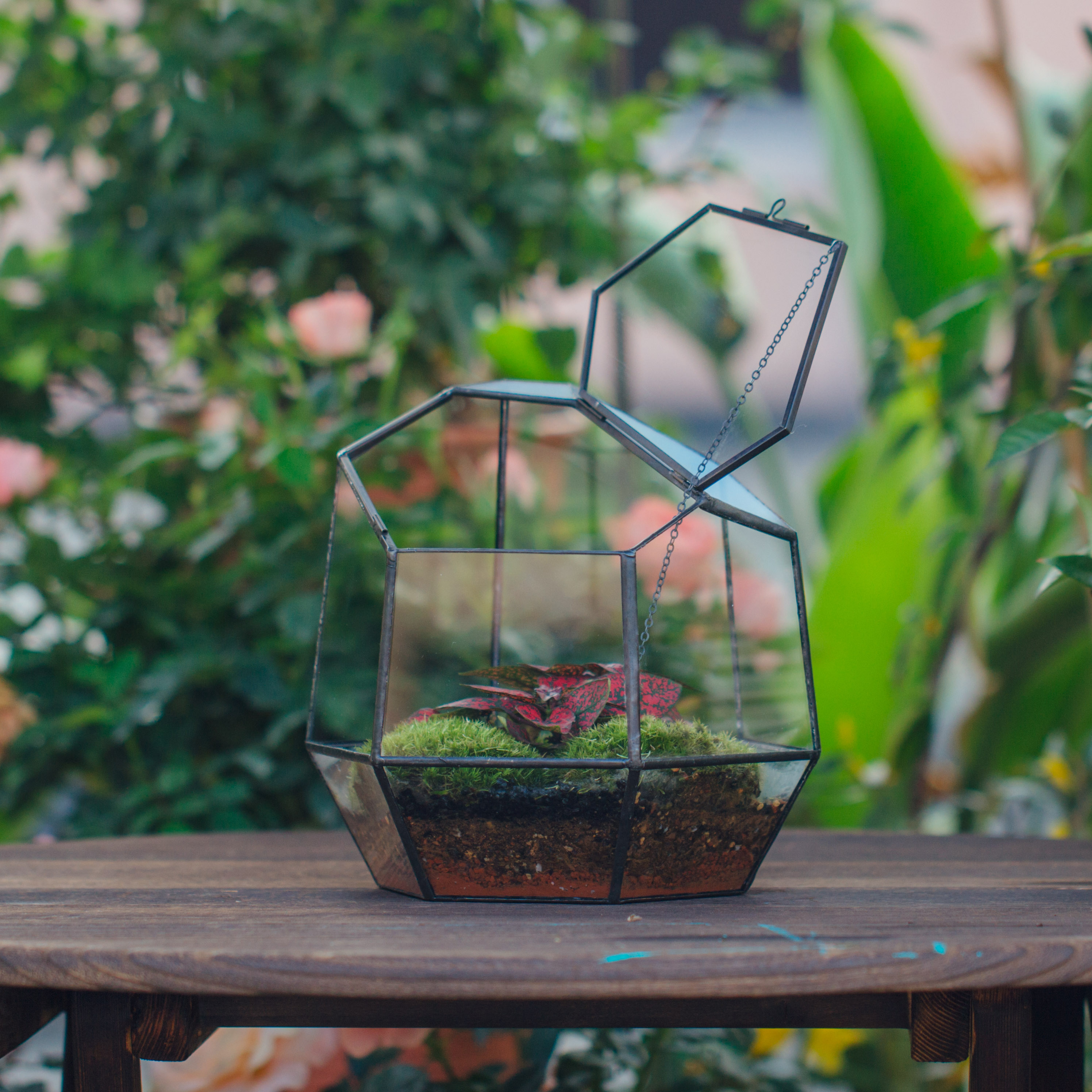 thumbnail video image 2 of NCYP Small Close Geometric Terrarium with Door, Black Irregular Glass Planter, 2 of 10