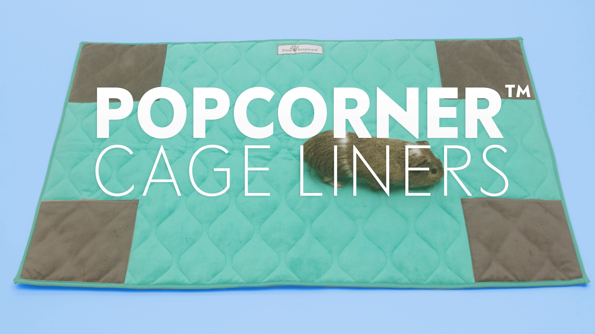 thumbnail video image 2 of Paw Inspired PopCorner Guinea Pig Fleece Cage Liners for | Fleece Bedding for Guinea Pigs, Ferrets, Rabbits, Hamsters, Small Animals | Reinforced Corners Pee Pads (C&C 2x3, Tan), 2 of 7