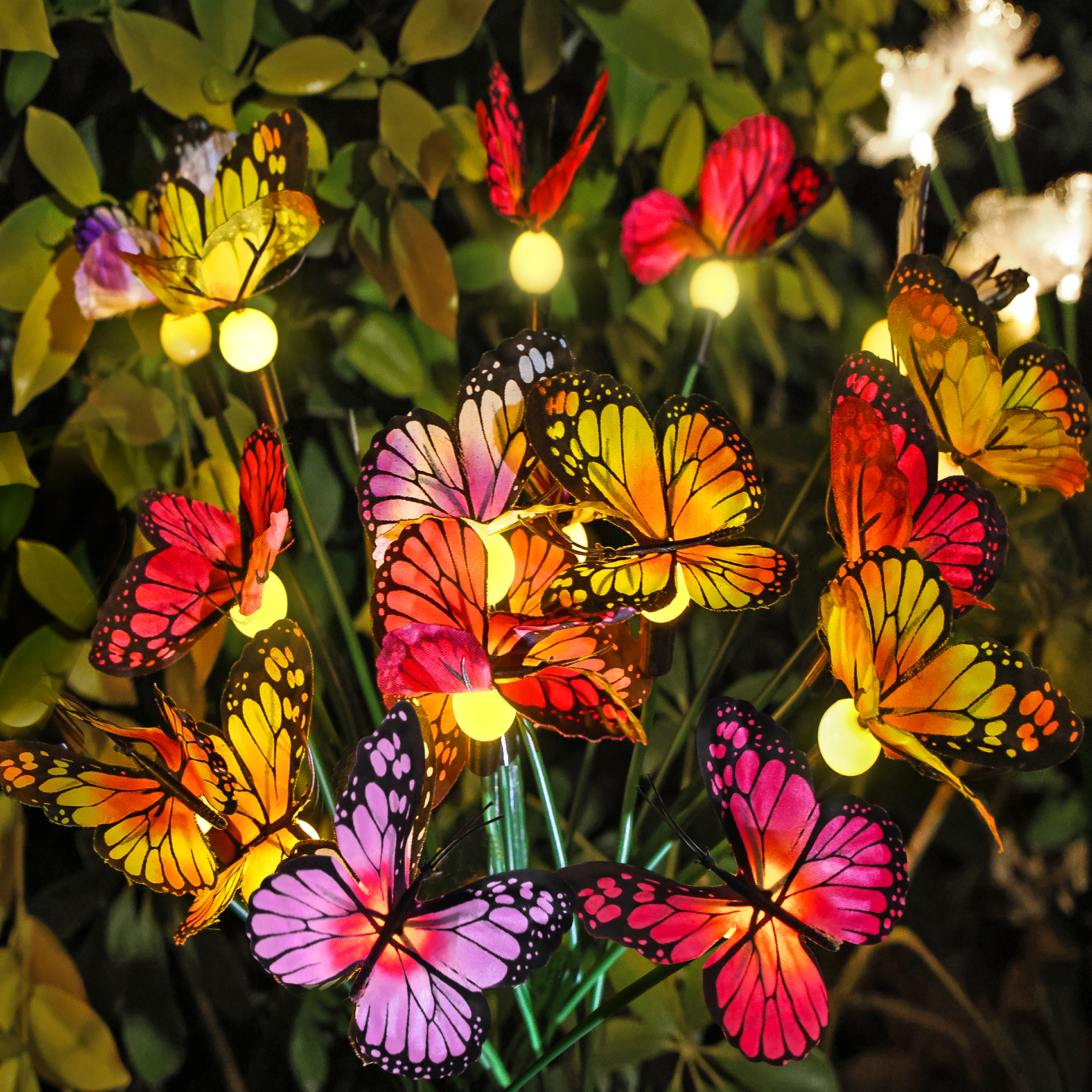 thumbnail video image 2 of 2 Pack Solar Courtyard Lights, Latest High-Low Swaying Butterfly Lights, Swaying With The Wind, Solar Outdoor Lights, Courtyard Passage Decoration, 2 of 8