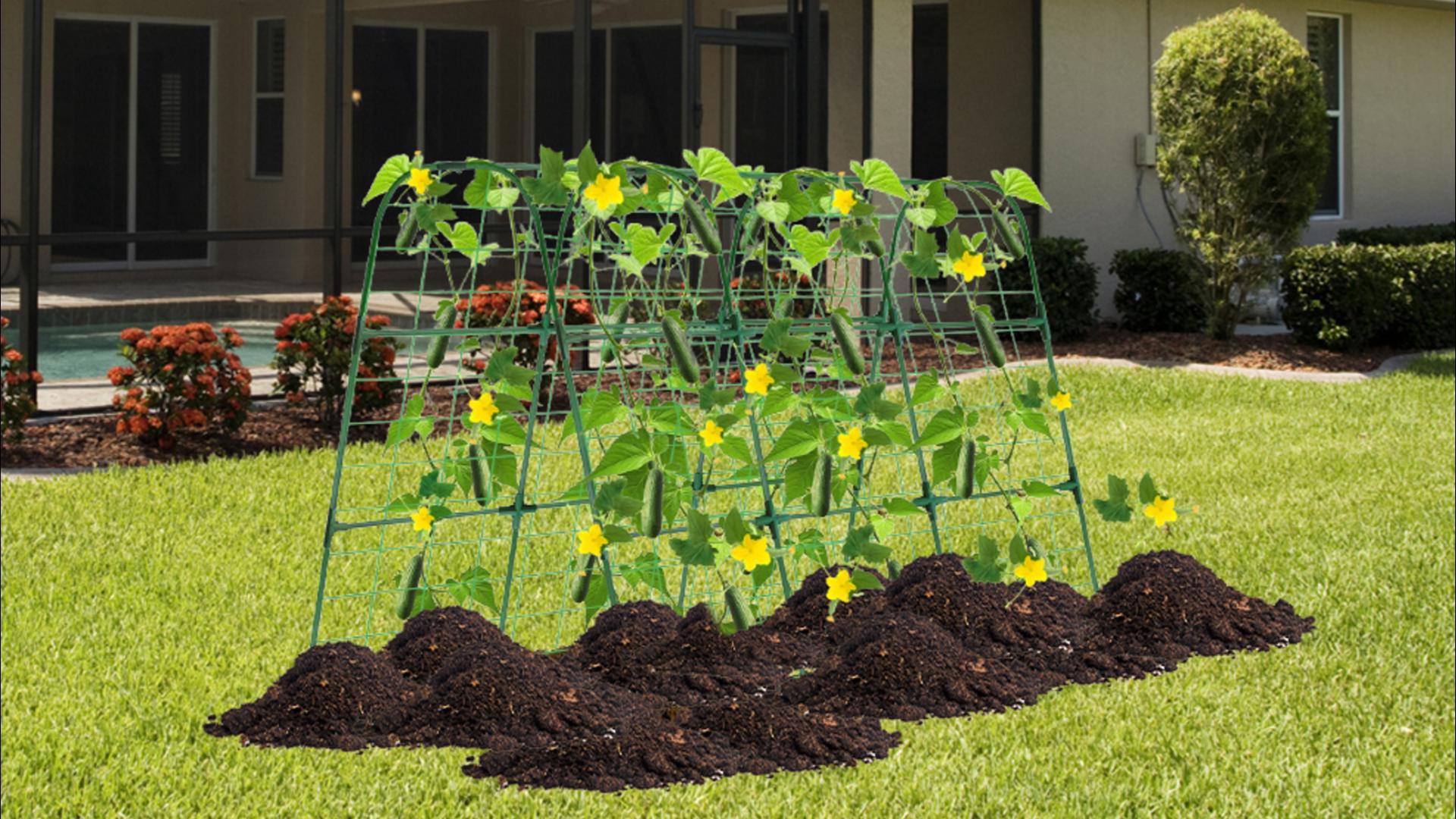 thumbnail video image 2 of ROMUCHE 66"x48" Updated Cucumber Trellis For Raised Bed, U-Shape Garden Trellis for Climbing Plants Outdoor with Climbing Net, 2 of 11