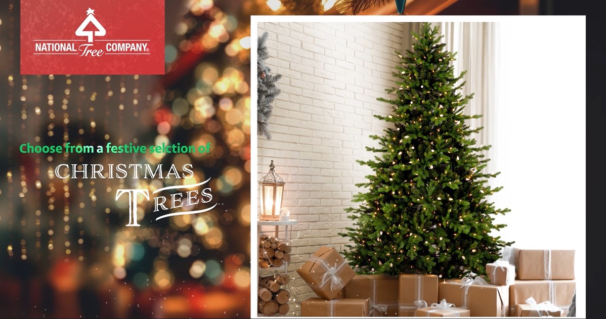 thumbnail video image 2 of National Tree Company Pre-Lit Feel Real® Artificial Mini Christmas Tree, Green, Nordic Spruce®, Clear Lights, Includes Burlap Bag Base, 3 Feet, 2 of 3