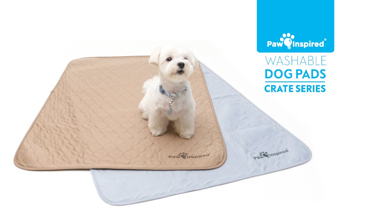 thumbnail video image 2 of 2ct Paw Inspired Dog Crate Pads Mats size 29x18” for Use with 30” Kennel and Crate | Washable Waterproof Dog Pee Pads, 2 of 8