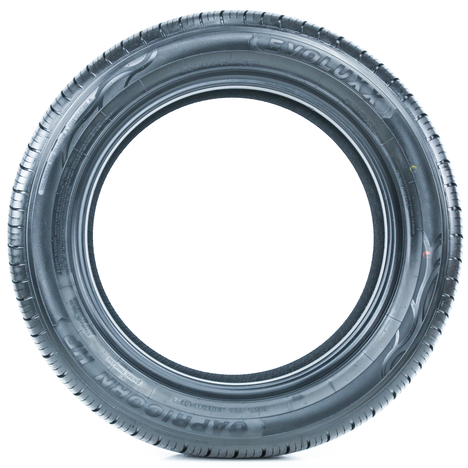 Evoluxx Capricorn HP Performance Tire - All Season, High Speed