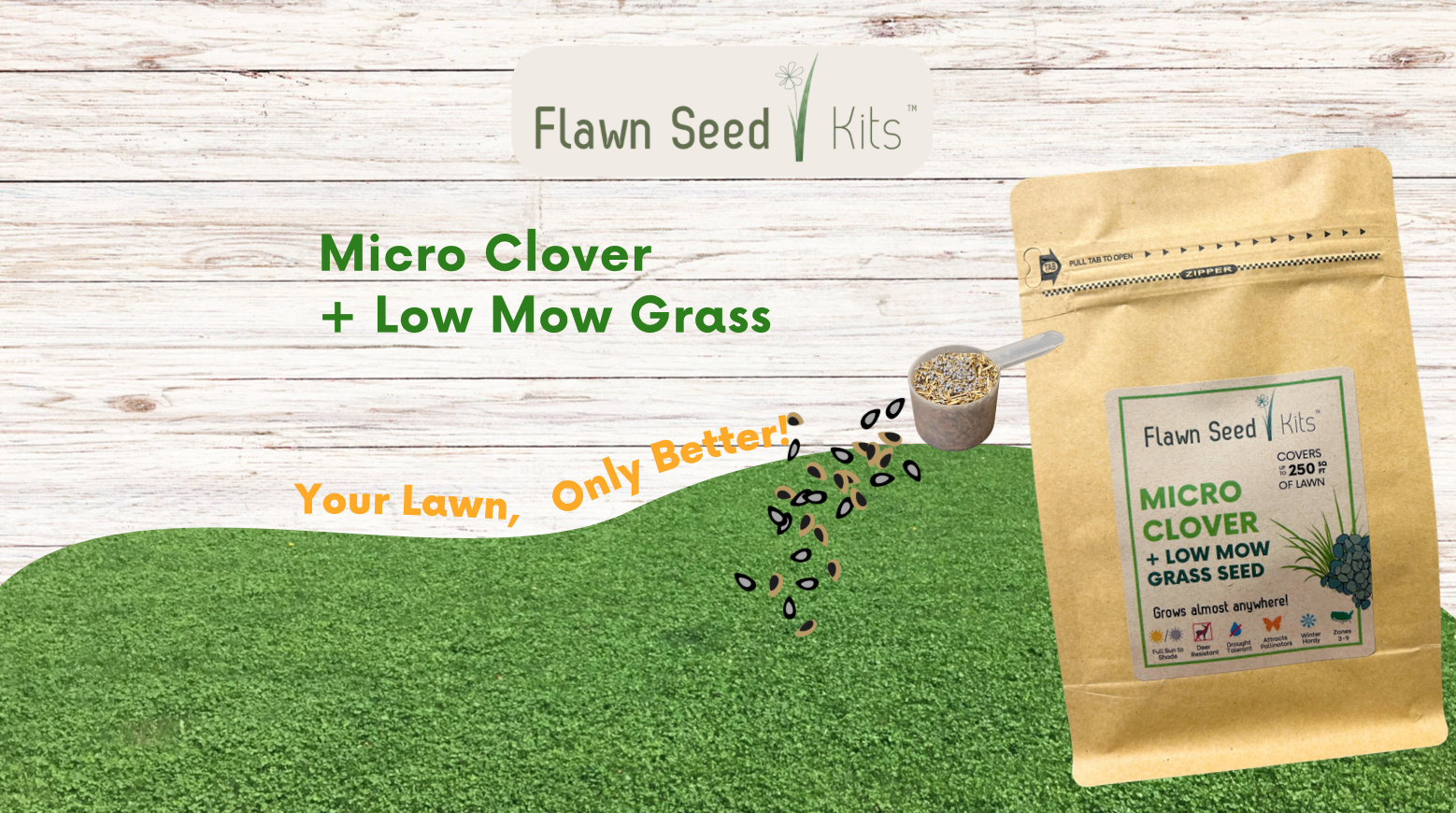 thumbnail video image 2 of Flawn Seed Micro Clover Seed Plus Low Mow Grass Seed, Eco-Friendly, Low Growing, Low Maintenance, Kraft Zipper Pouch w/Easy Spread Scoop, Covers Up to 1000 sqft, 2 of 11