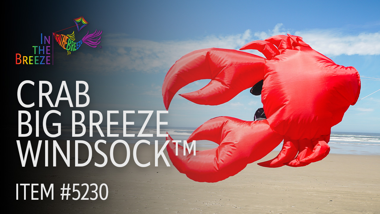 thumbnail video image 2 of In the Breeze 5230 — Crab Big Breeze Windsock™ — Large, 3D Beach Windsock for Yards, Gardens, Patios, 2 of 7