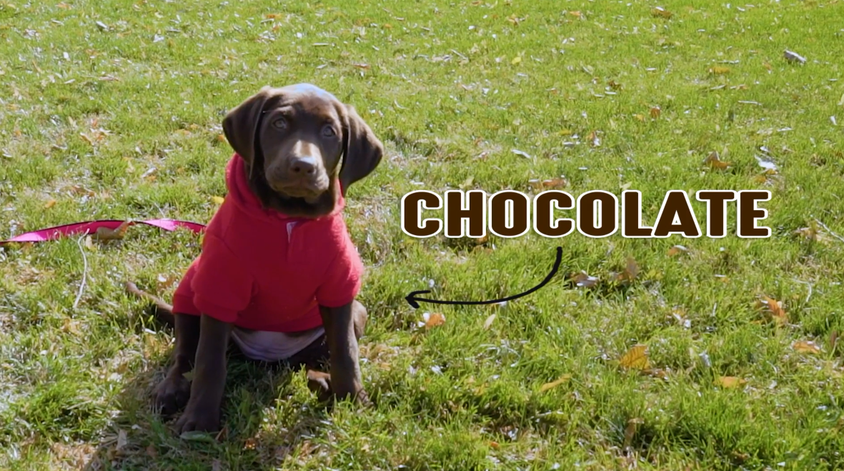 thumbnail video image 2 of Lakanto Sugar Free Chocolate Bark - 55% Dark Cacao with Sea Salt and Almonds, Sweetened with Monk Fruit Sweetener, Low Carb, Keto, Gluten Free, Vegan, Great On the Go Snack (5 oz), 2 of 8