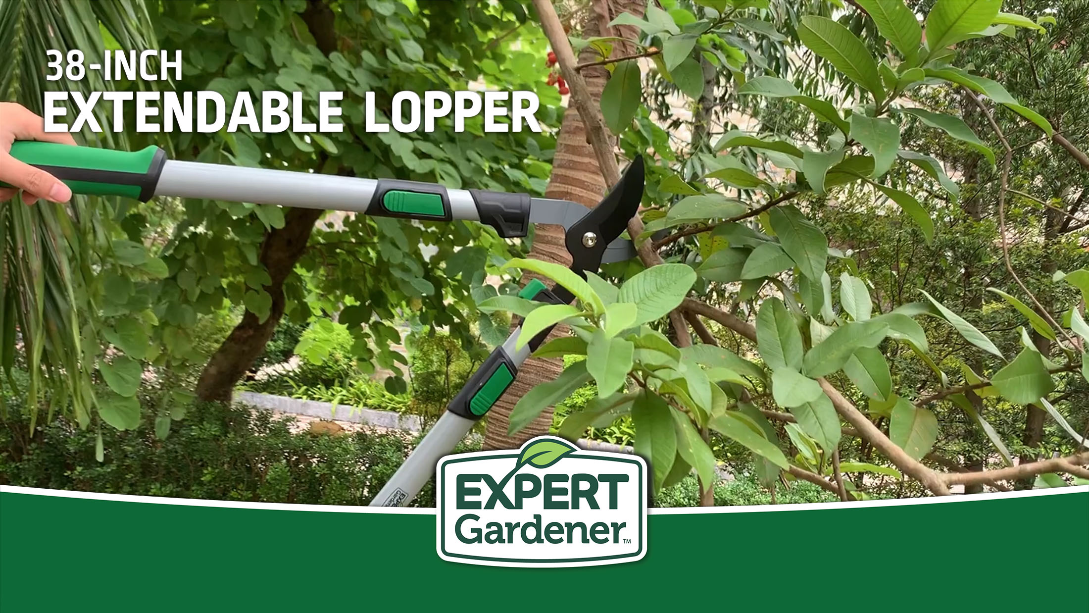 Expert Gardener Extendable 38in Lopper
