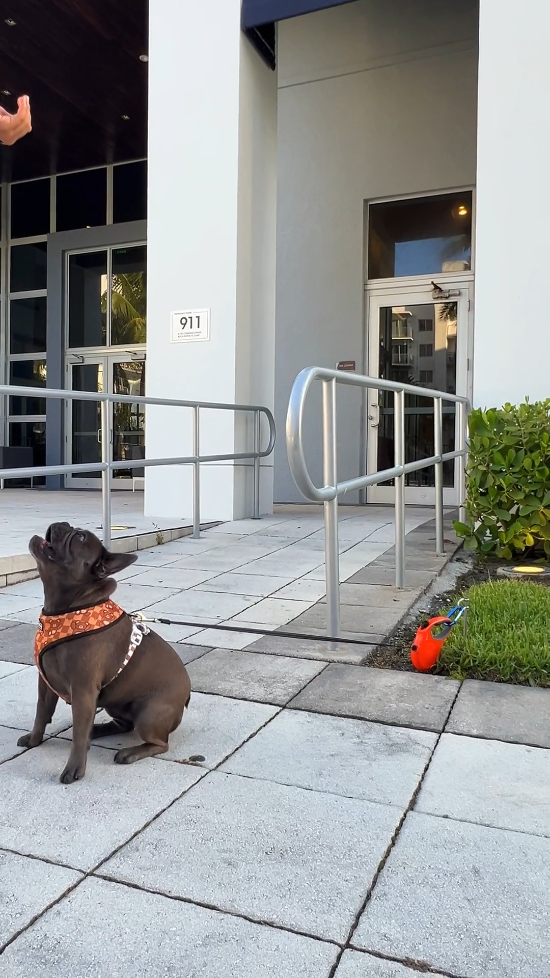 thumbnail video image 2 of Dog Tie Out Stake - Stainless Steel Heavy Duty Dog Stake for Outside, Dog Anchor for Dog Tie Out Cable for Yard, Free Swivel Dog Stake Camping Gear for Small Dog Up to 20 lbs, 2 of 9