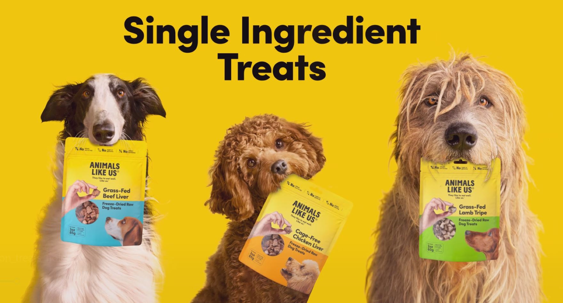 thumbnail video image 2 of Premium Dog Treats, Freeze-Dried Raw 100% Grass-Fed Beef Liver, Single Ingredient, Protein Rich, Non-GMO, No Wheat or Corn, 3 oz, 2 of 9