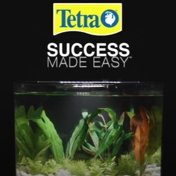 thumbnail video image 2 of Tetra EasyStrips 25 Count, Complete Aquarium Test Strips, Water Testing, 2 of 4