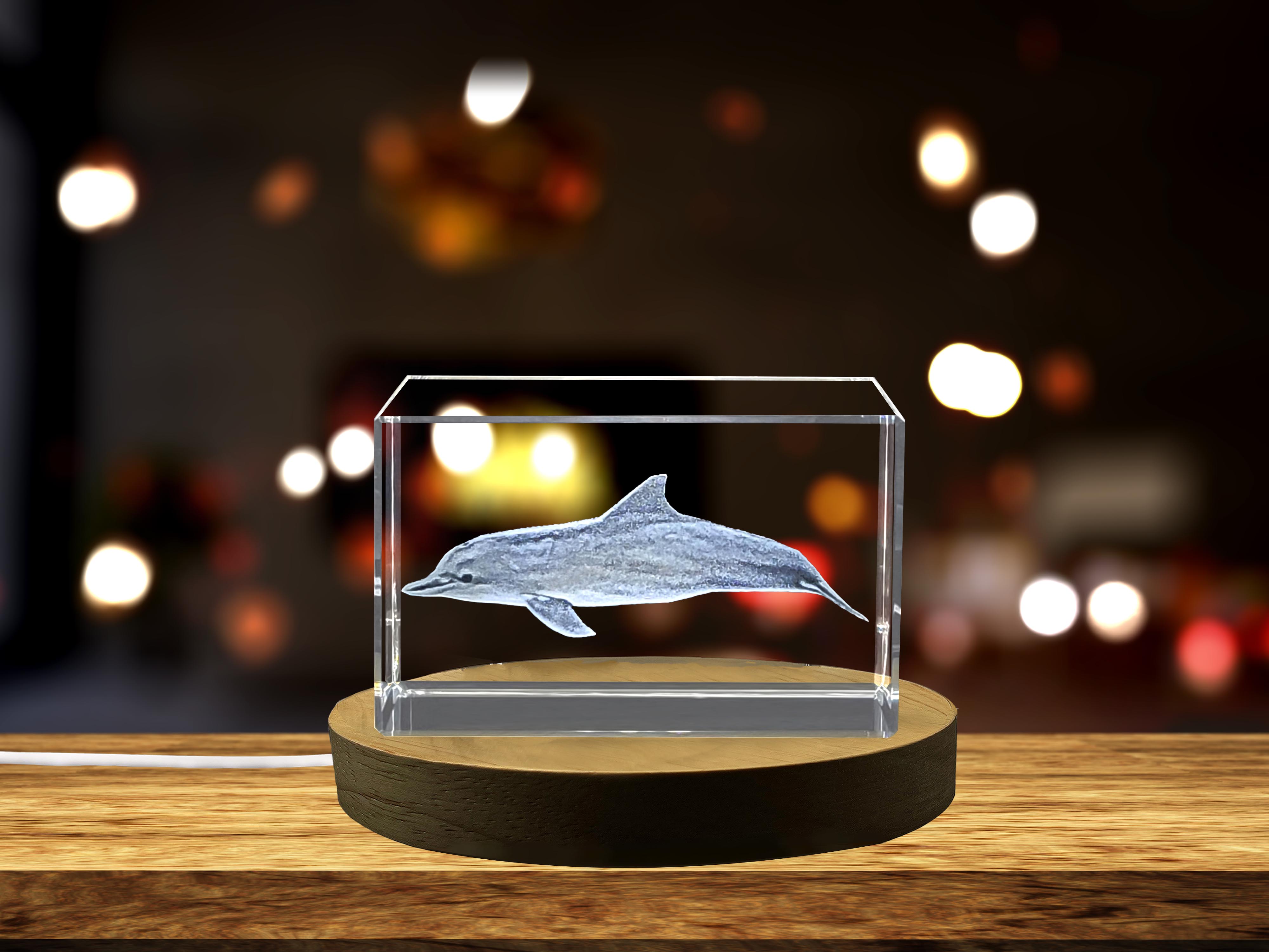 thumbnail video image 2 of Guiana Dolphin Crystal Engraving - Beautifully Carved Marine Mammal Decor, 2 of 7