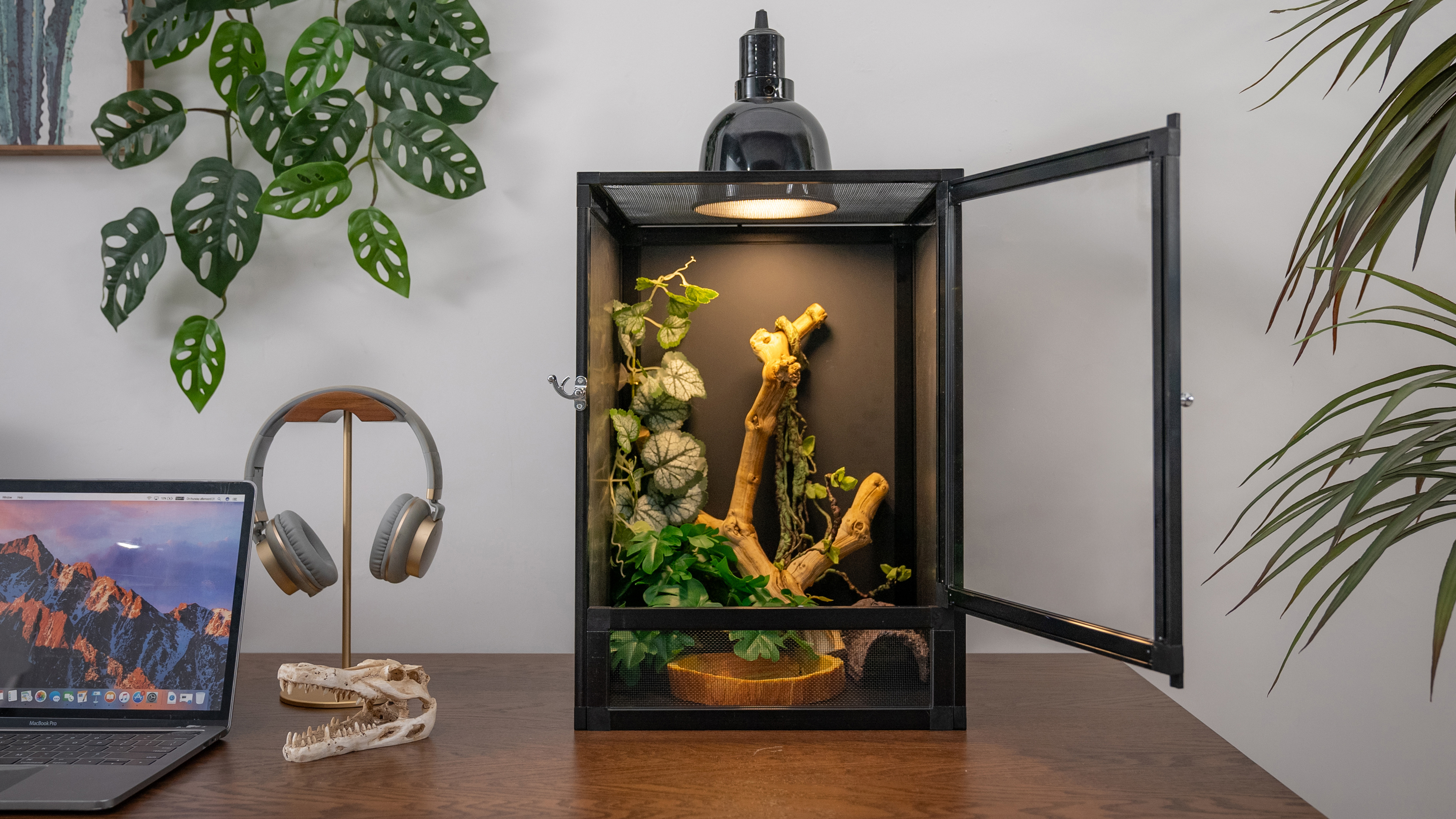 thumbnail video image 2 of ToxiRium 12x12x18Inch Hybrid PVC Reptile Cage, Ventilated Enclosure with Interchangeable Acrylic & Mesh Doors, Easy Assembly Habitat for Gecko, Chameleon, Snake, Frog, 2 of 9
