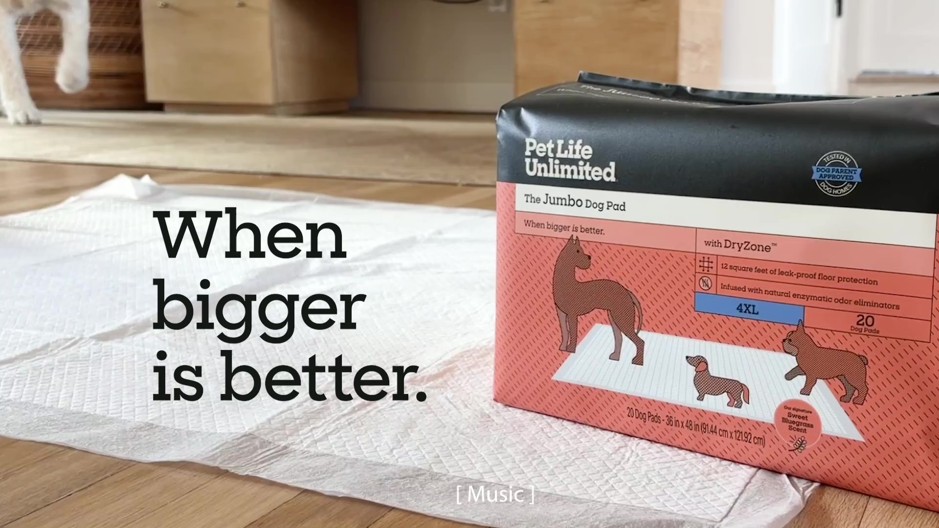 thumbnail video image 2 of Pet Life Unlimited Jumbo Dog Pads, 4XL, 36x48in., 20ct, 2 of 10
