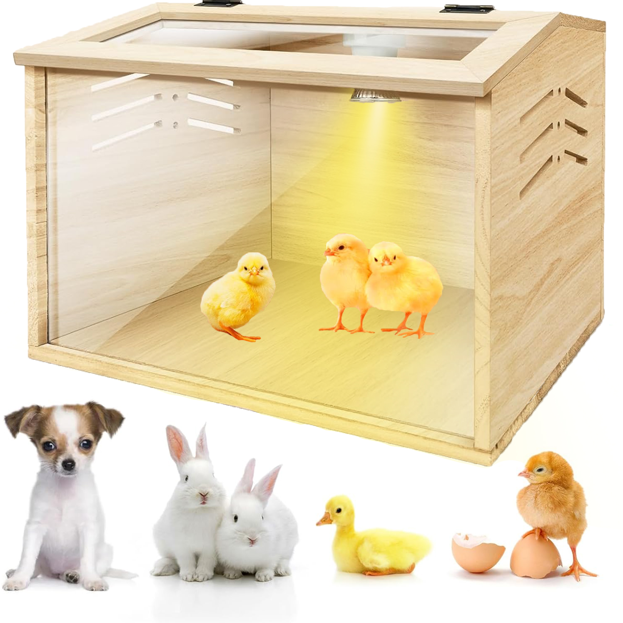 thumbnail video image 2 of Chicken brooder Box,Chick brooder,brooder Box for Chicks,Small Chicken coop,Baby Chicken Supplies,Chick brooder Box,Quail cage,Quail coop,Measures Approximately 31.5 X 15.7 X 15.7 inches, 2 of 6