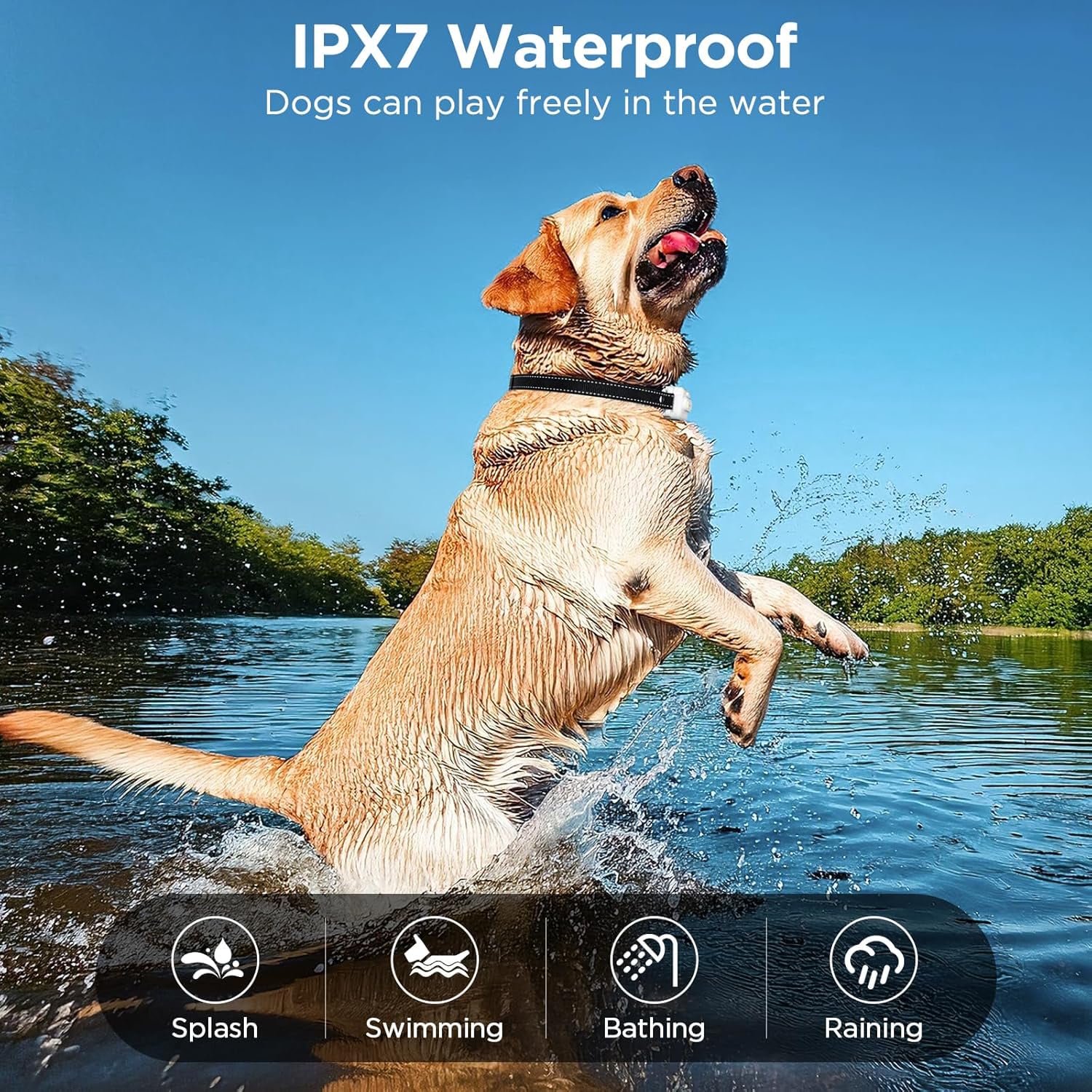 thumbnail video image 2 of Dog Shock Collar, 3300ft Dog Training Collar with Remote, IPX7 Waterproof Rechargeable Sleek Modern Shock Collar with Beep, Vibration, Safety Shock, 8-120 lbs, 2 of 8