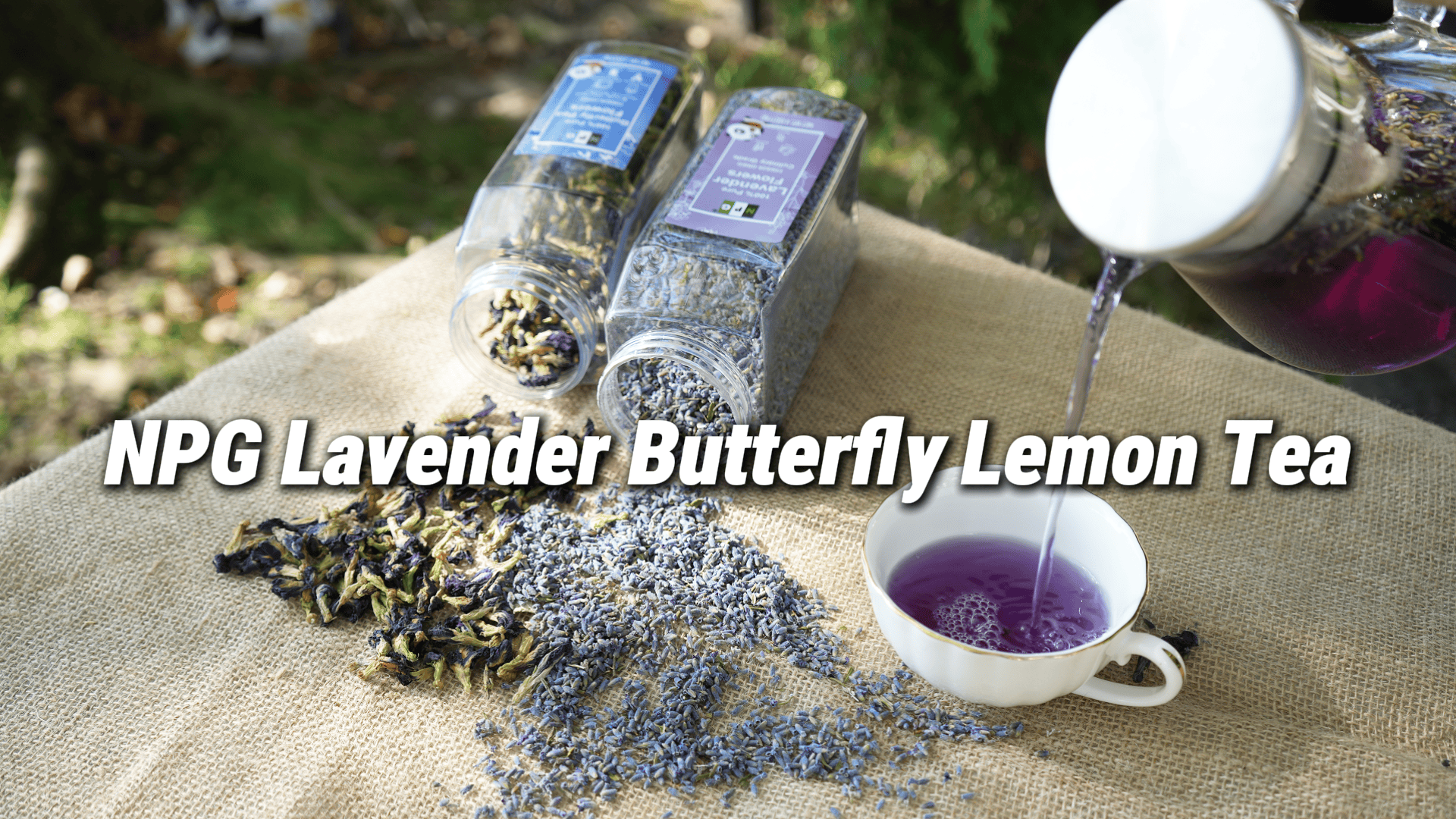 thumbnail video image 2 of NPG Pure Dried Blue Butterfly Pea Flower Tea 2 Ounces , Whole Butterfly Pea Flowers Herbal Tea Caffeine Free Gluten Free Vegan, All Natural Non GMO Blue Food Coloring Rich in Antioxidants, 2 of 7