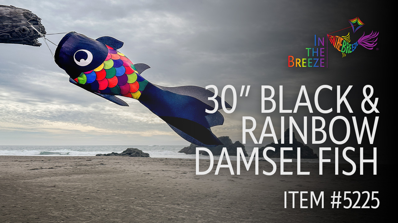 thumbnail video image 2 of In the Breeze 5225 — 30-inch Black & Rainbow Damsel Fish — Colorful Fishsock Hanging Garden Decor with Detailed Printed Graphics, 2 of 7