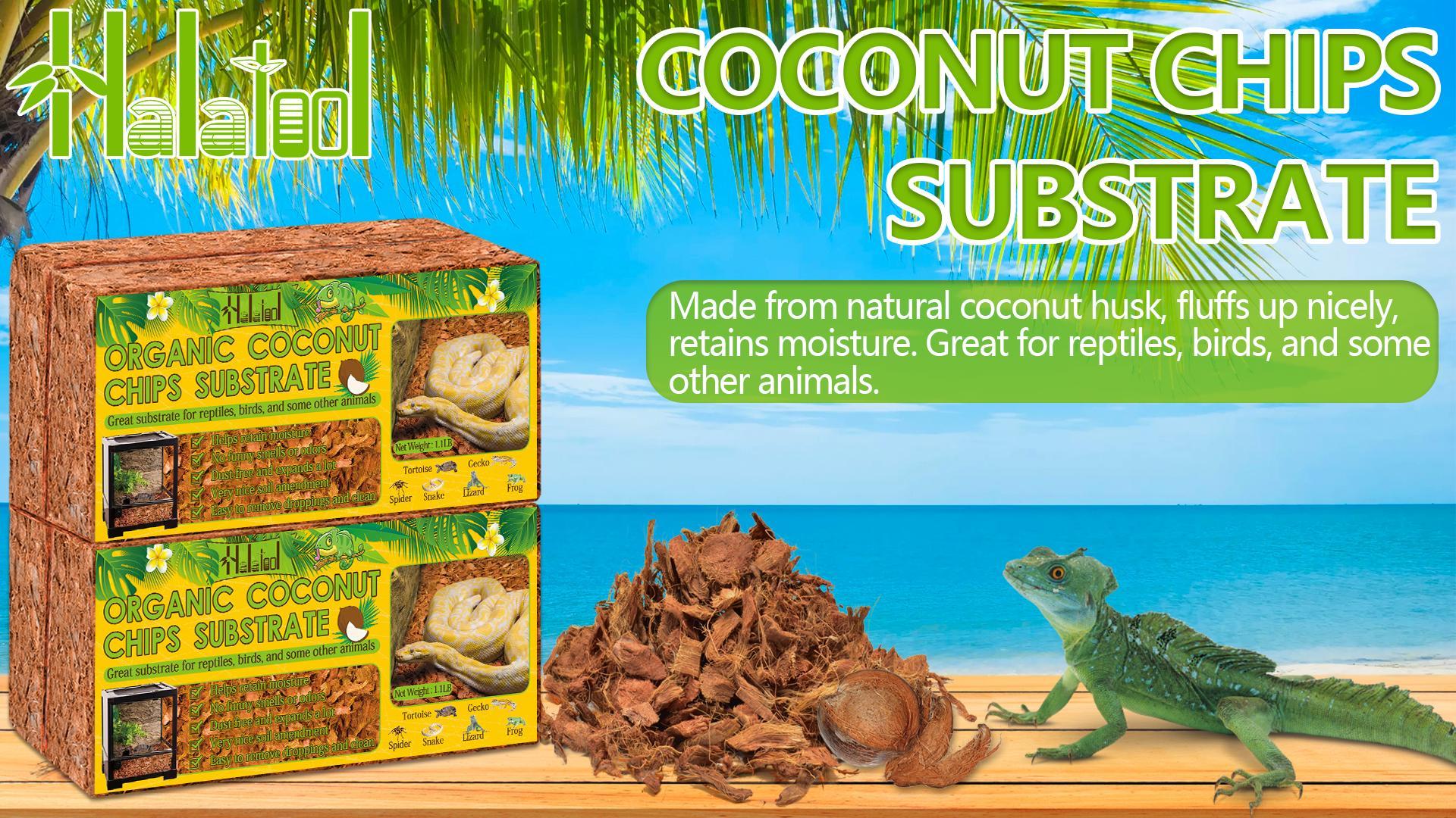 Halatool, Snake Bedding, 2 Pack, Coconut Husk for Reptiles - Walmart.com