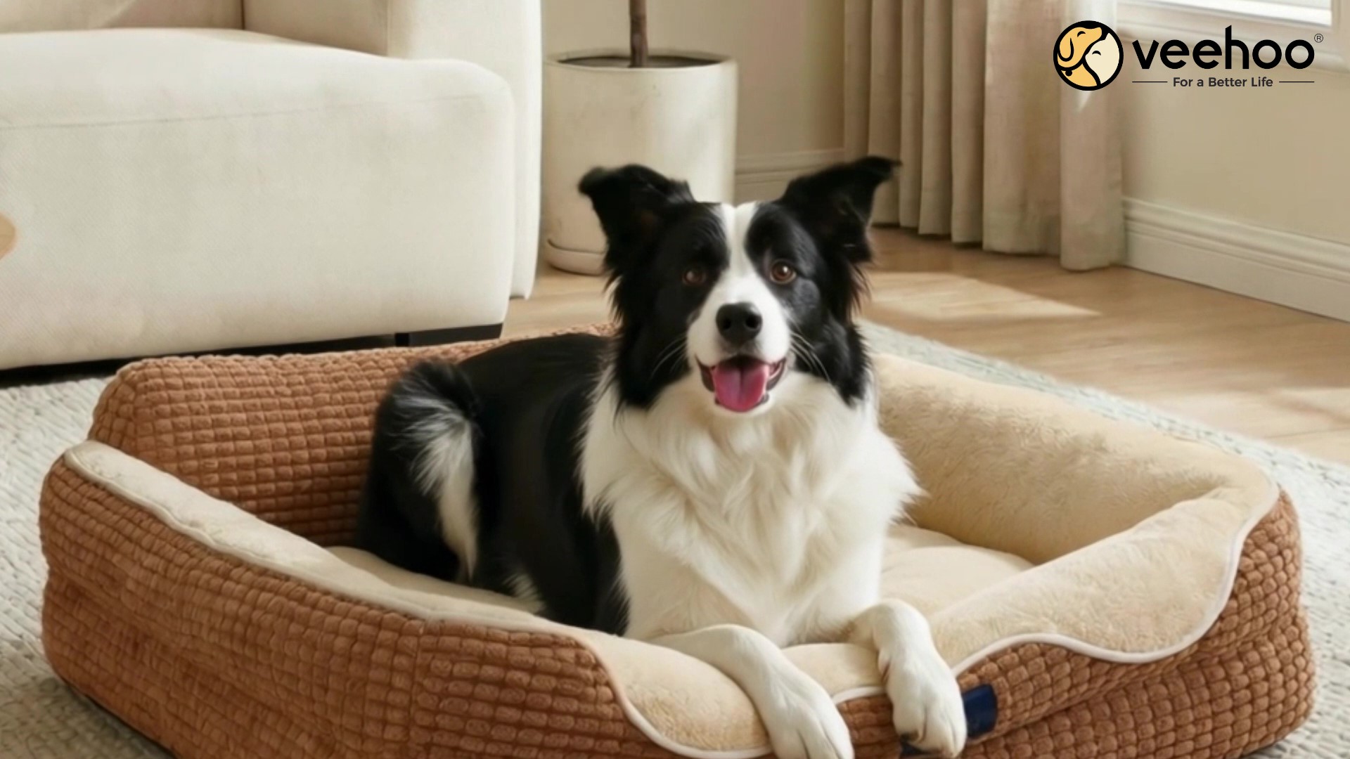 thumbnail video image 2 of Veehoo Cute Small Dog Bed, Orthopedic Waterproof Pet Beds for Small Dogs, High Back Non-Slip Bottom and Egg-Crate Foam Puppy Couch Sofa with Washable Removable Cover, 24", 2 of 10