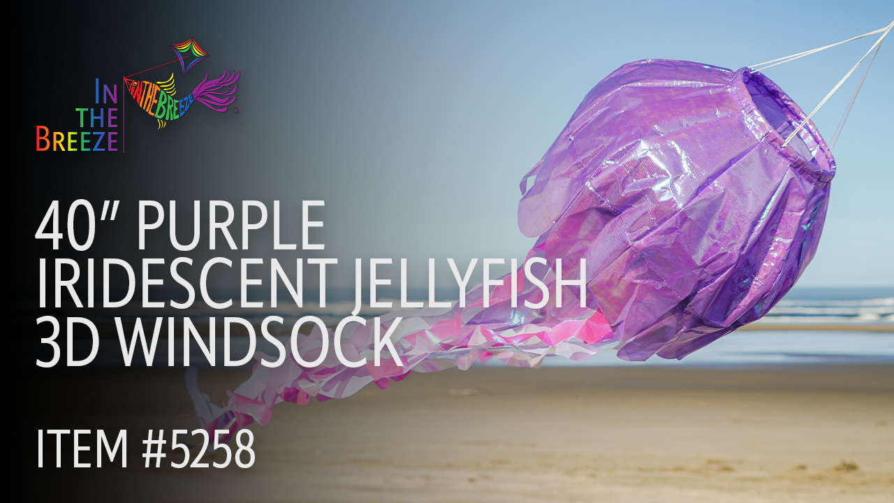 thumbnail video image 2 of In the Breeze 5258 — 40-inch Purple Iridescent Jellyfish 3D Windsock — Simmering Windsock with Inflatable Head and Free-Flowing Tentacles, 2 of 6