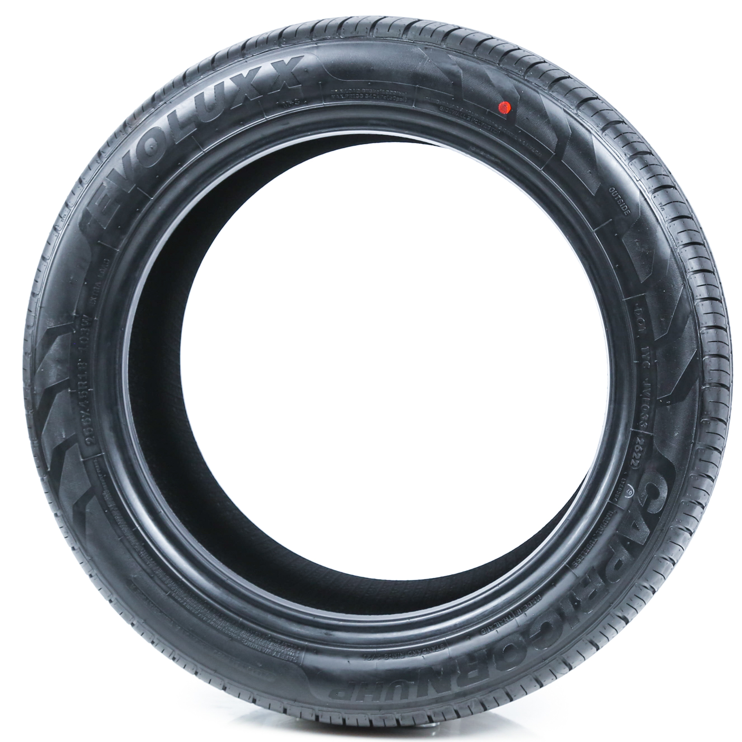 KYP Amazon.com : Canopy Top for Ozark Trail 12' x 12' Instant