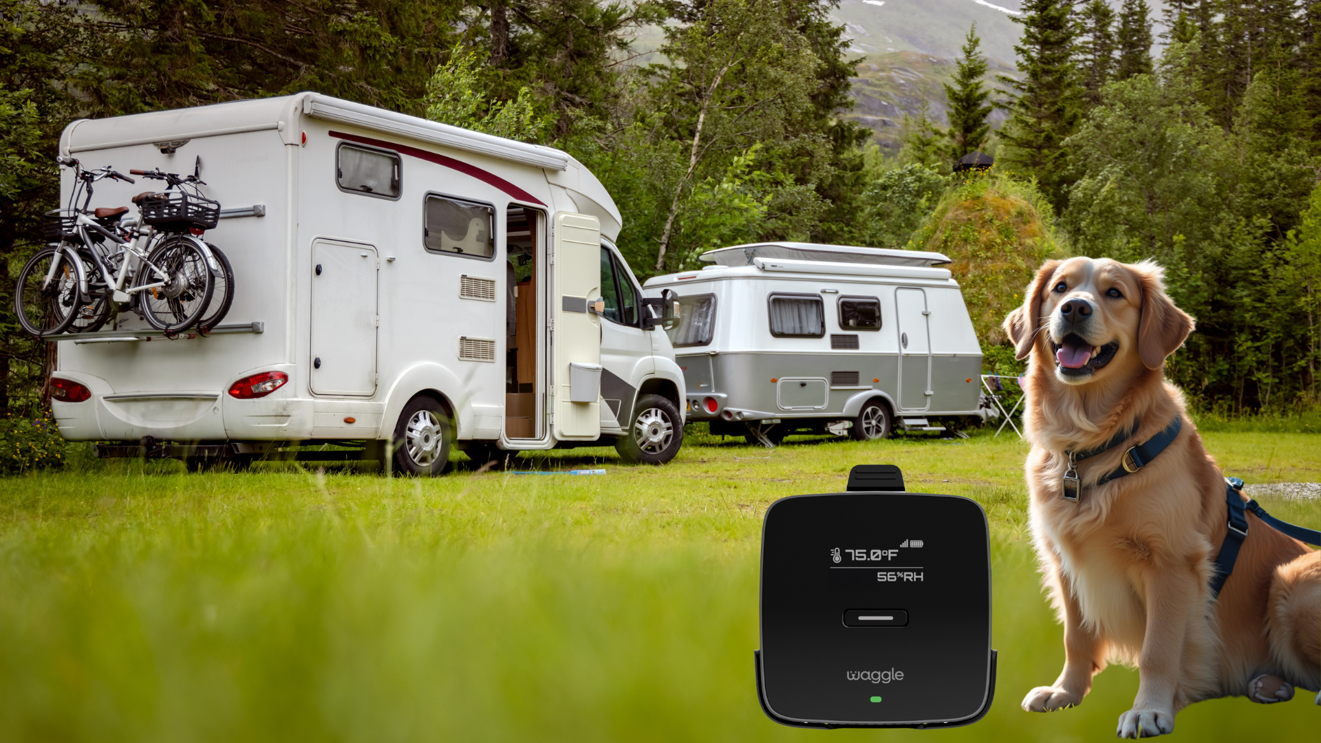 thumbnail video image 2 of Waggle RV Pet Temperature Monitor – 4G Cellular | Real-Time Alerts for Temperature, Humidity & Power Loss | Dog Safety in RV, Car, or Home | App Controlled | No WiFi | Subscription Required, 2 of 9