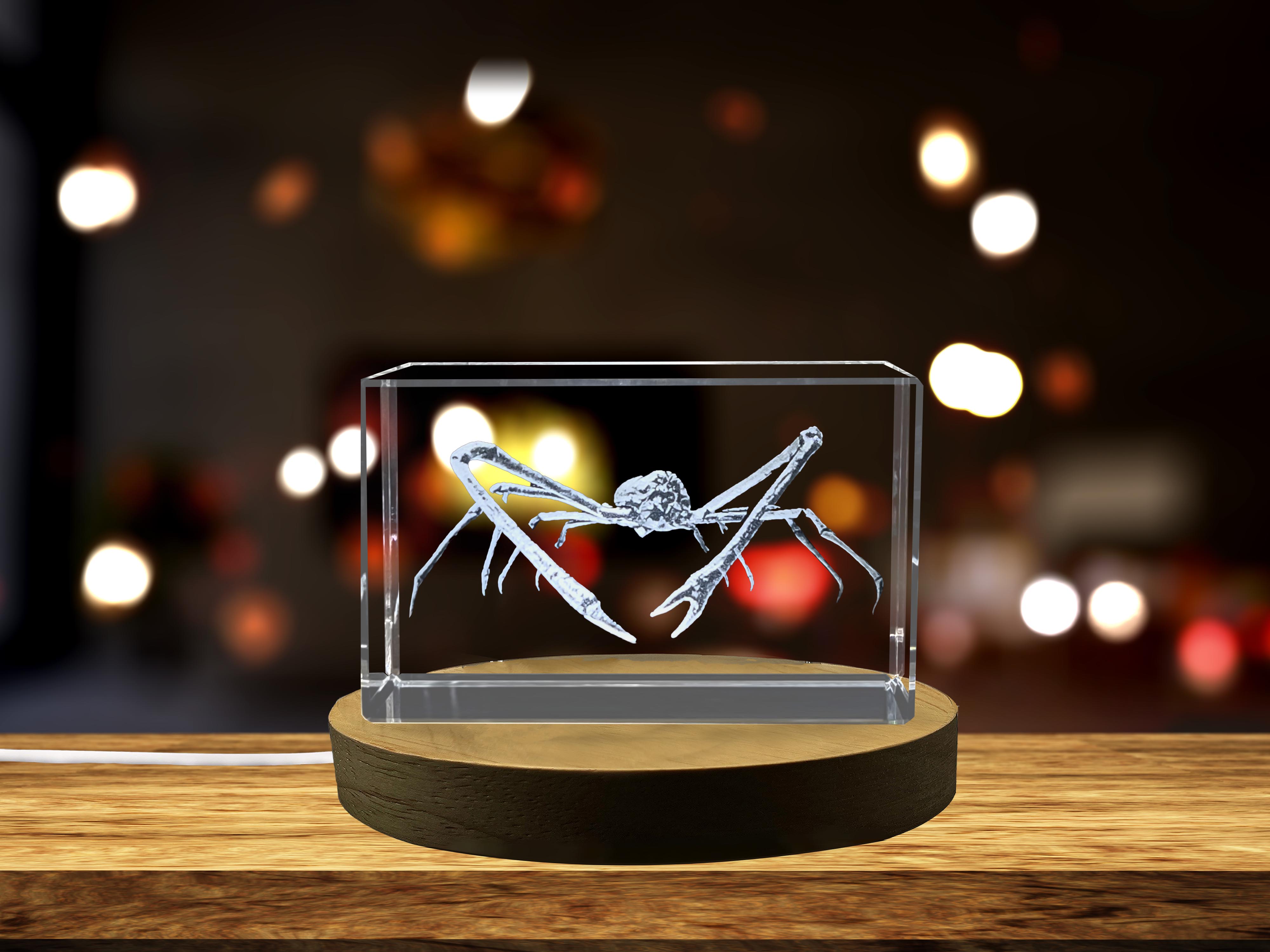 thumbnail video image 2 of Spider Crab | Animals Collection 3D Engraved Crystal, 2 of 7