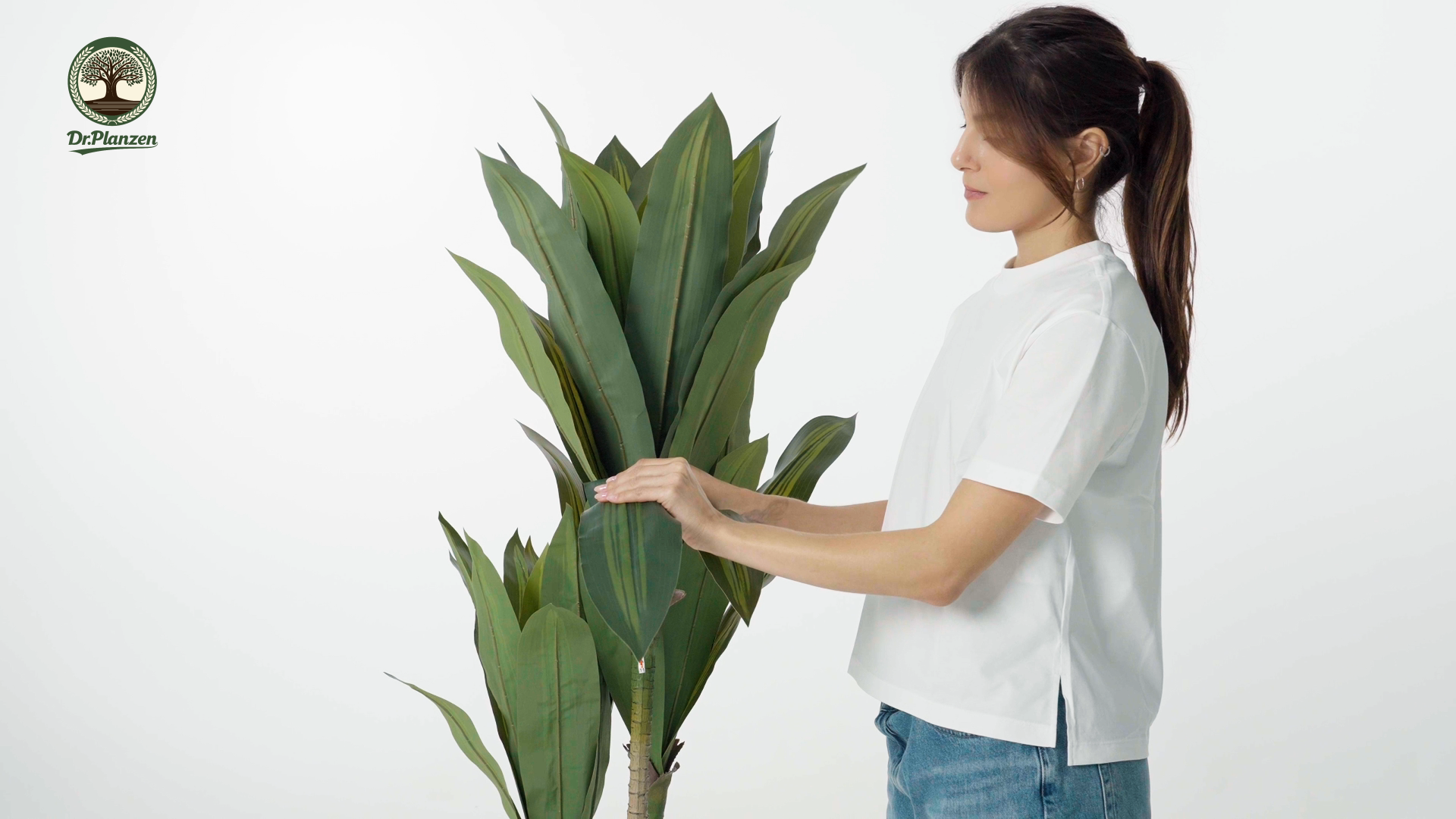 thumbnail video image 2 of DR.Planzen Artificial Dracaena Tree 5ft - UV Protected Faux Dracaena Plant with 57 Green Leaves, Fake Tree for Indoor & Outdoor Use, Sturdy Tall White Planter with River Stones, 2 of 10