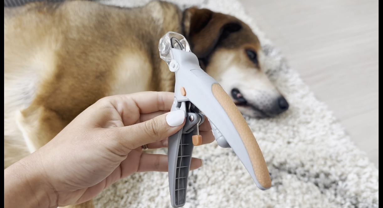 thumbnail video image 2 of PawGroomers Pet Nail Clipper for Cats and Dogs with LED Light Magnifying Glass & Free Nail Filer, 2 of 13