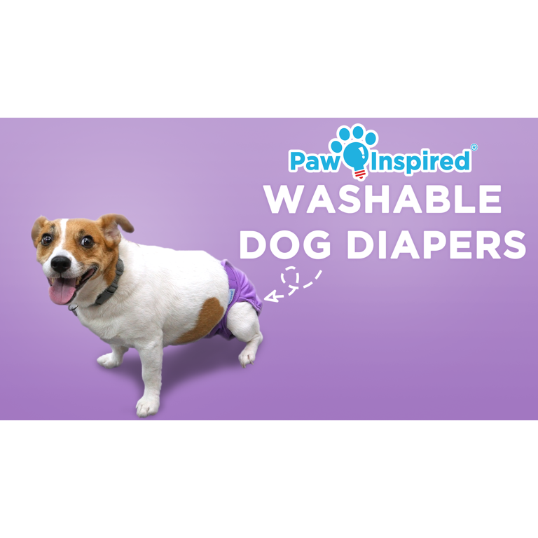 Free Shipping! Paw Inspired Washable Female Dog Diapers Heat and