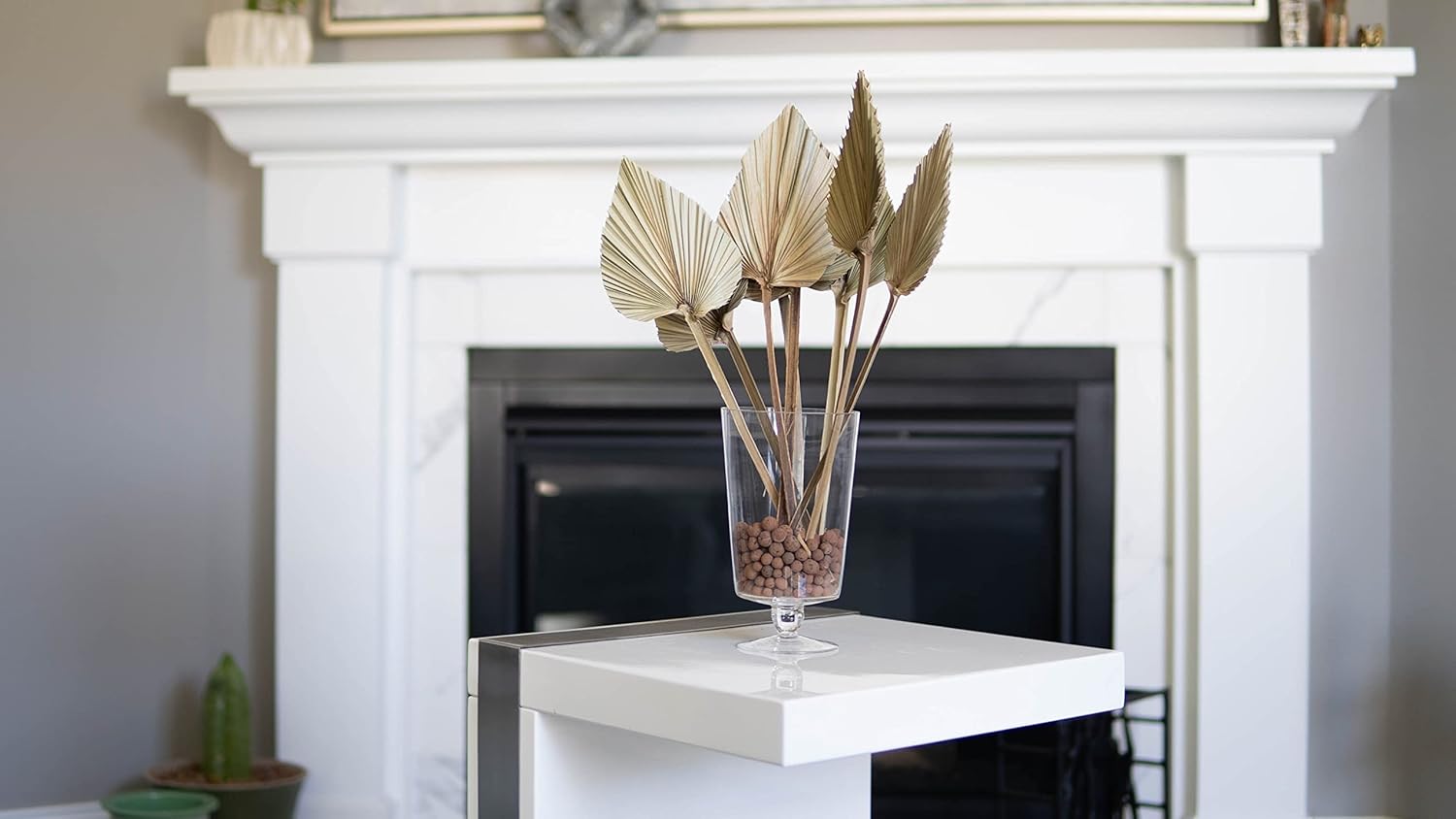 thumbnail video image 2 of Ragnify 12 pcs Dried Palm Leaves Spear Natural Dried Palm Fans Bohemian Dried Flowers for Bohemian Dried Palm Spears Tropical Dried Palm Leaves Decor for Boho Wedding Party (18x04 Inches), 2 of 7