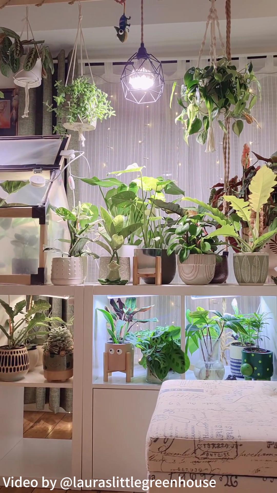 thumbnail video image 2 of SANSI 36W LED Grow Light Bulb, Full Spectrum Plant Lamp, E26 Base, 2 of 8