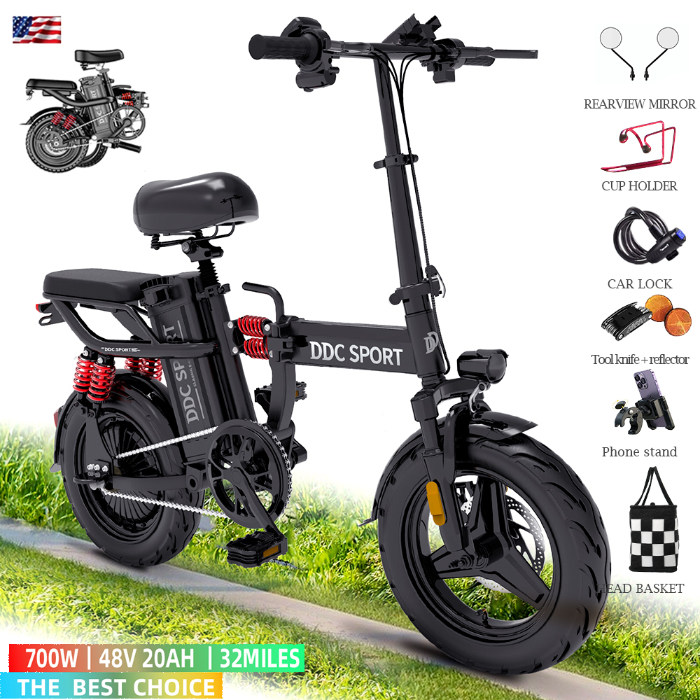 700W Electric Bike for Adults with 48V 20AH Removable