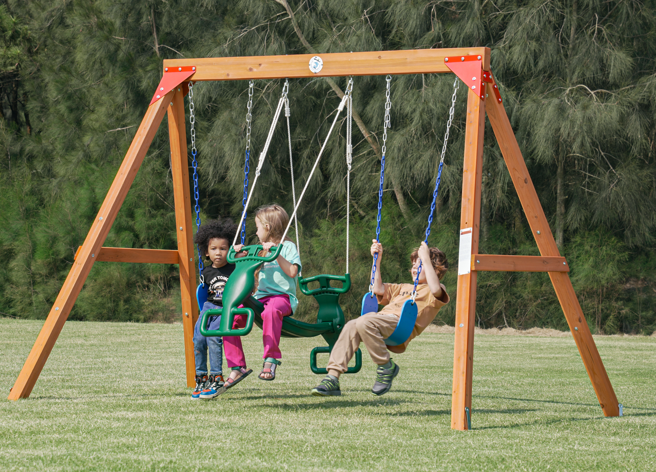 Dolphin Playground Wooden Swing Sets for Backyard, 2 Person Glider