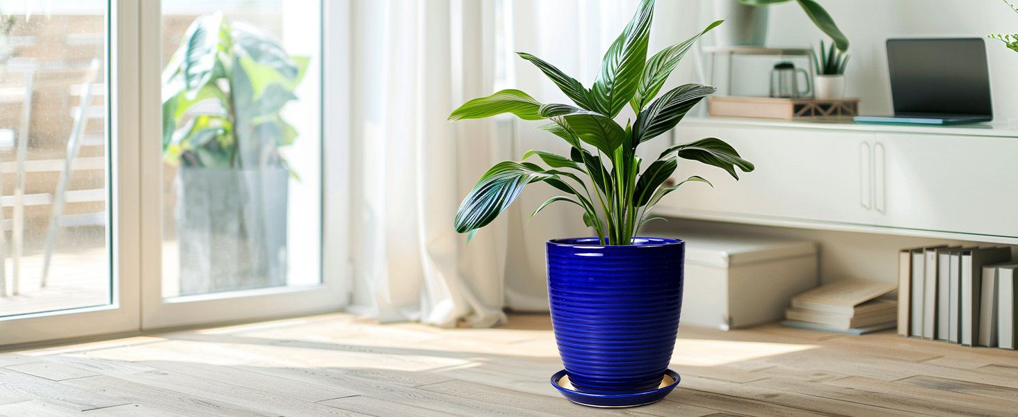 thumbnail video image 2 of Ceramic Planter 8 inch, Round Flower Pot with Saucer Modern Textured Pot for Indoor Outdoor Use, for Home & Office Decor, Glossy Blue, 2 of 8