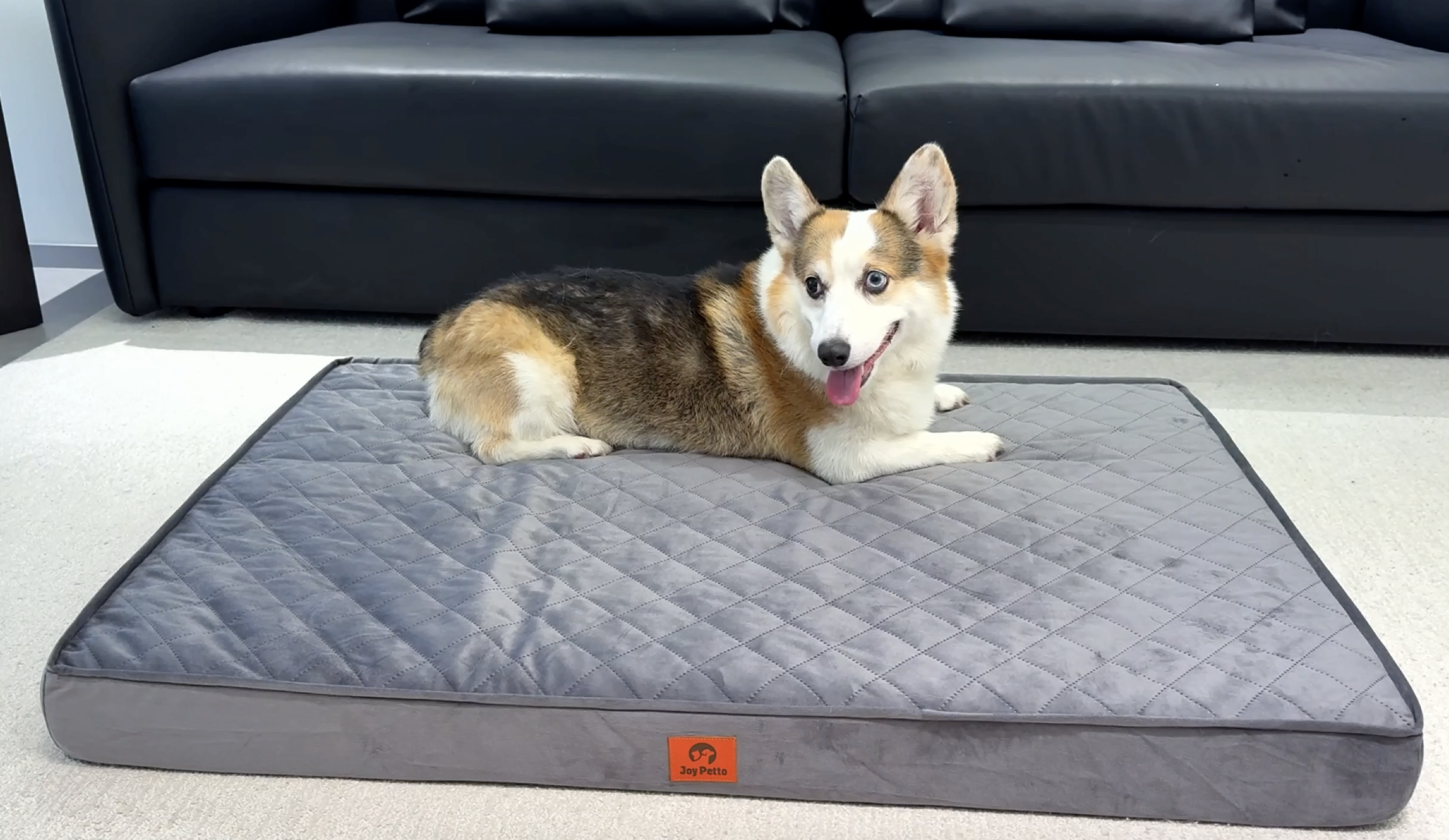 thumbnail video image 2 of JoyPetto Orthopedic Dog Bed, Egg Crate Foam, Waterproof Washable Non-Slip Mattress,Dark Gray for Crate Indoor Use, 2 of 11