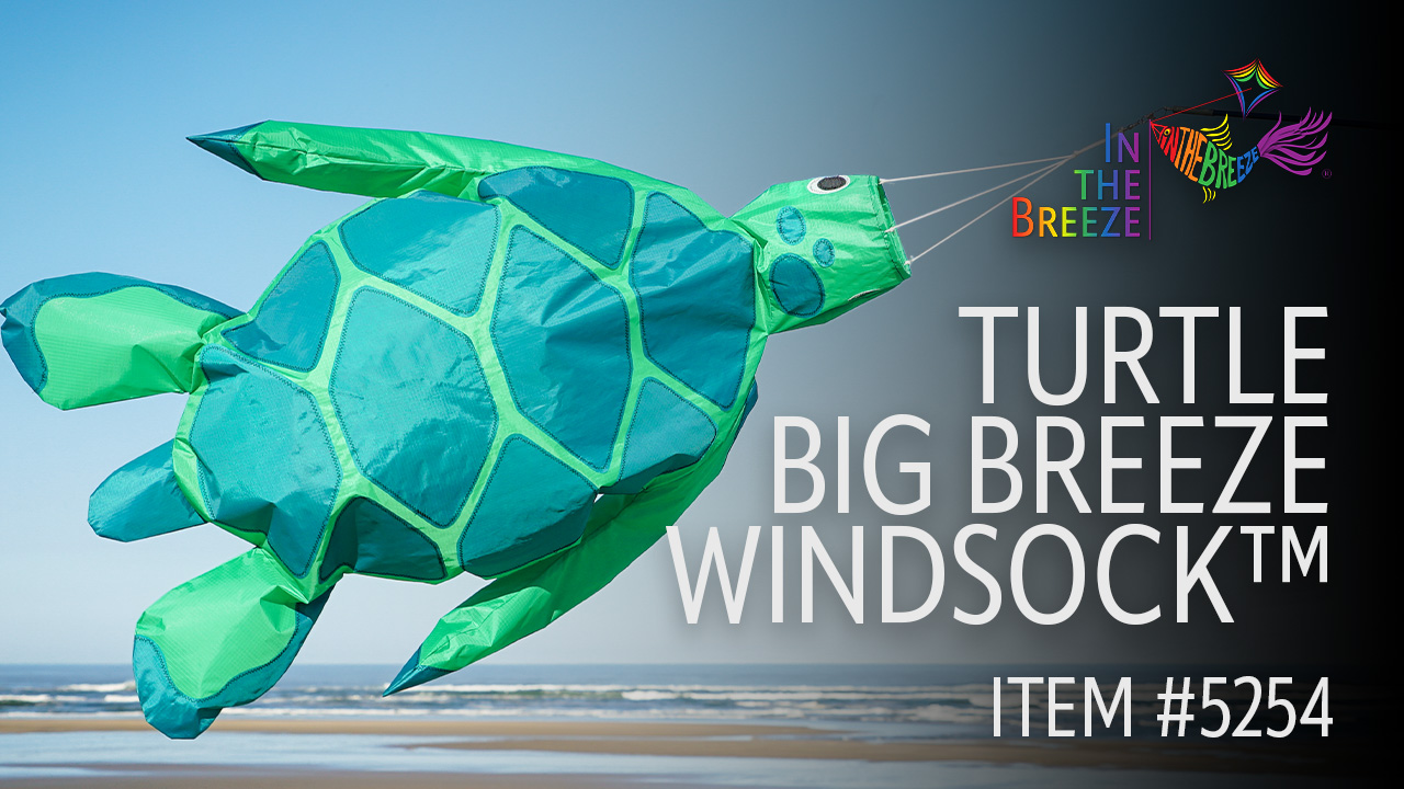 thumbnail video image 2 of In the Breeze 5254 — Turtle Big Breeze Windsock™ — Large, 3D Beach Windsock for Yards, Gardens, Patios, 2 of 6