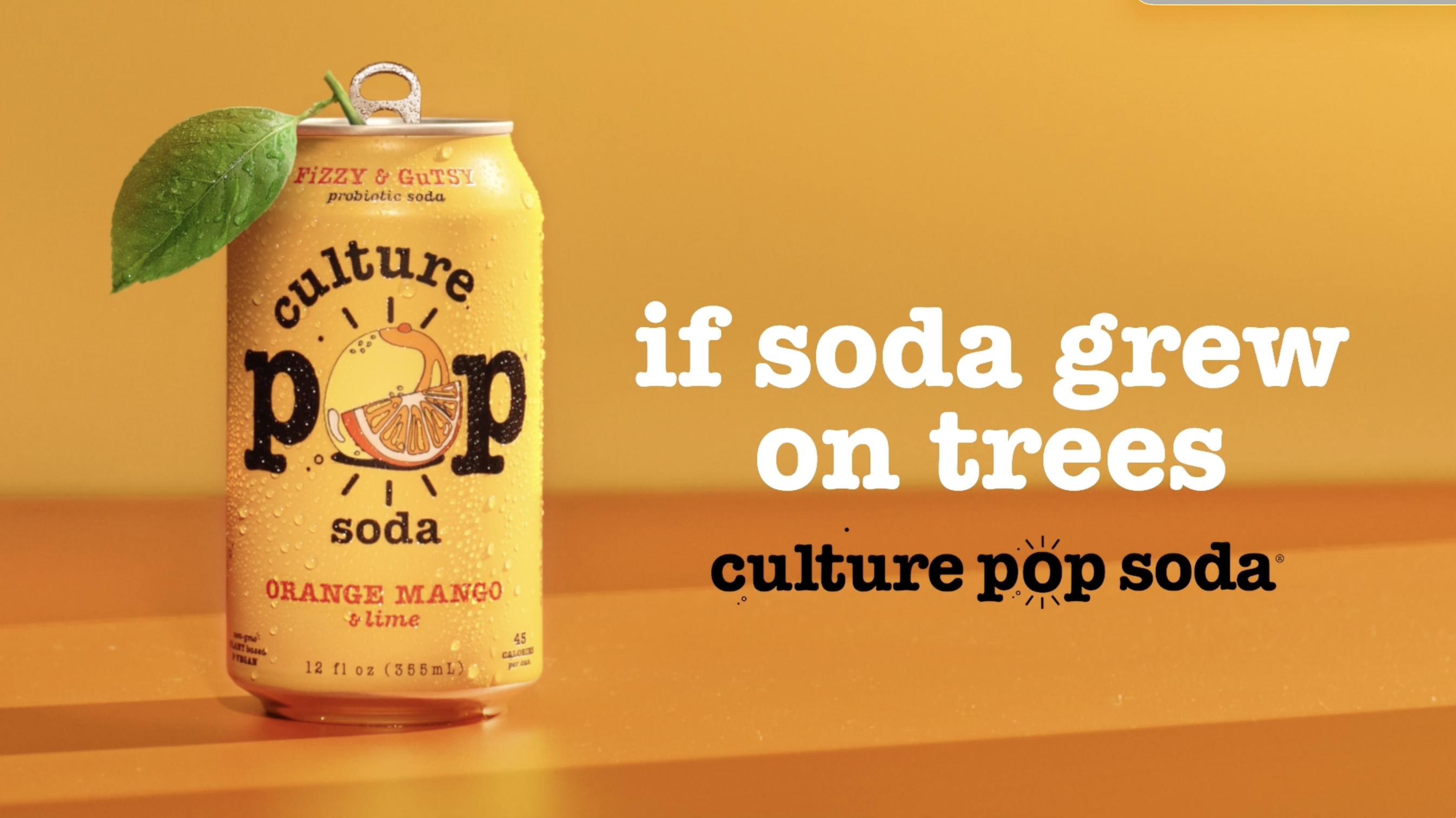 Culture Pop Soda Sparkling Probiotic Drink, Ginger Lemon, 12 Fl Oz
