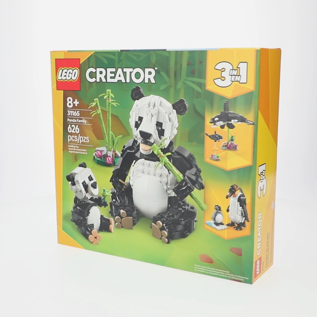 panda The Giant Panda's Bamboo Home – What Are the Pandas Up to in Their