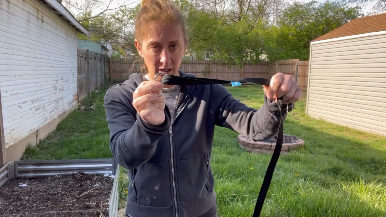 thumbnail video image 2 of Long Dog Leash with Recall Clickers for Small, Medium and Large Dogs or Cats Training, Walking, Camping (15 Feet, Purple), 2 of 7