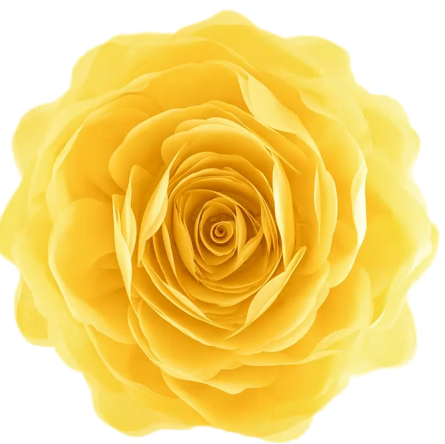 thumbnail video image 2 of JWH 3D Handmade Soft Round Decorative Rose Flower Accent Throw Pillow for Bed Sofa Home Bedding 14inch Yellow, 2 of 10