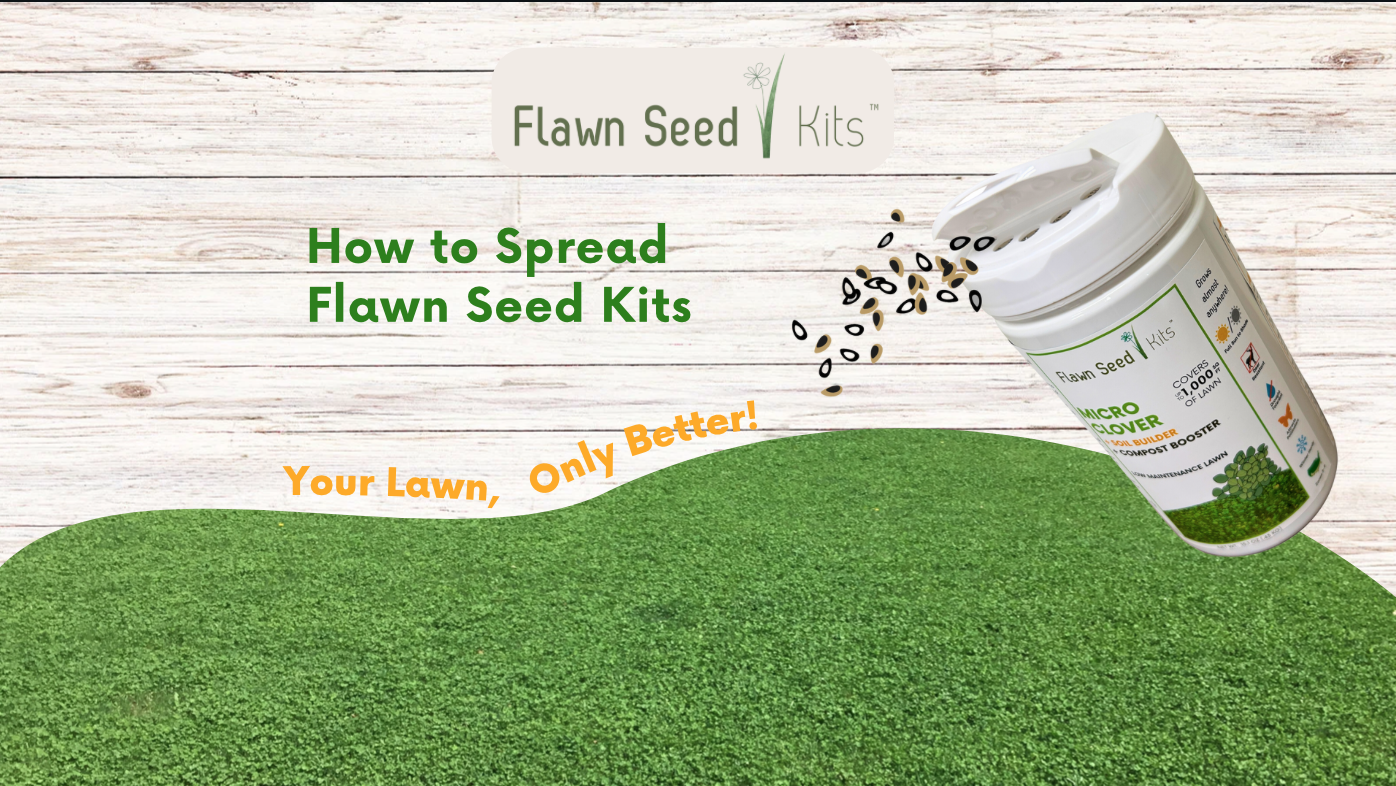 thumbnail video image 2 of Flawn Seed Kits Tri-Color Clover Seed Kit, Easy Spread, Low Maintenance Flowering Lawn, Covers up to 500 Sqft, 2 of 8