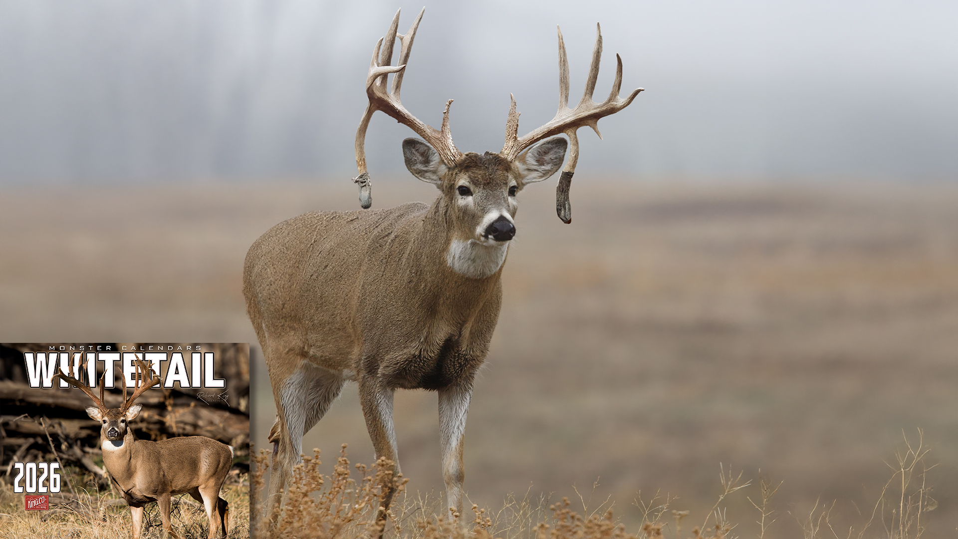 thumbnail video image 2 of 2026 Monster Whitetail Deer Wall Calendar 16-Month X-Large Size 14x22, Big Buck Rack Calendar by The KING Company-Monster Calendars, 2 of 8
