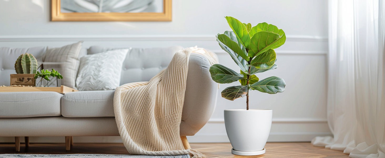 thumbnail video image 2 of Epfamily 8-Inch White Ceramic Planter Pot with Saucer | Modern Indoor Outdoor Pot for All Houseplants, Flowers & Succulents, 2 of 7