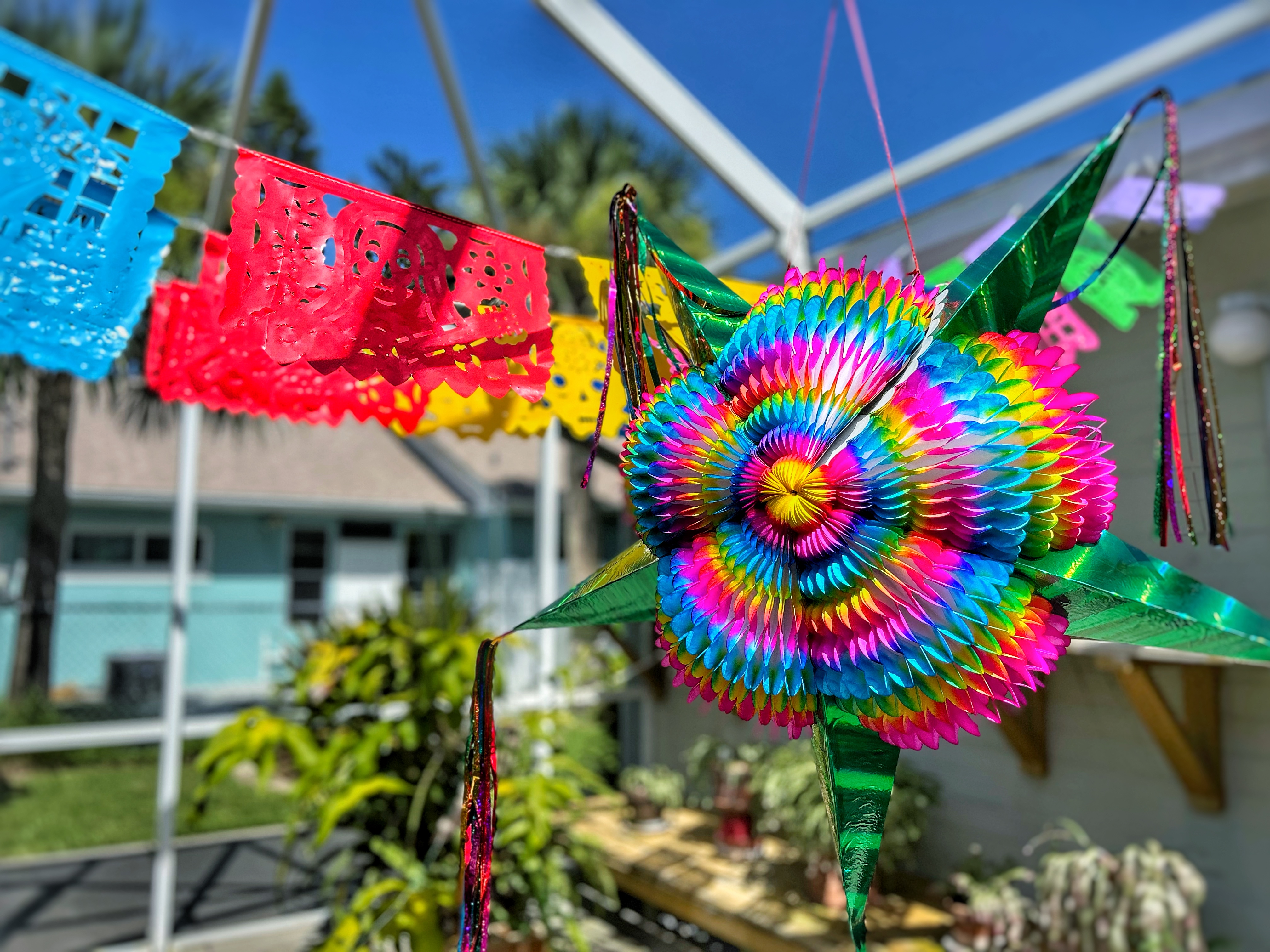 thumbnail video image 2 of Large Pinata with Green Cones (32") – Christmas Pinata - 25 Ft Rope Included - Mexican Star Pinata by TexMex Fun, 2 of 10